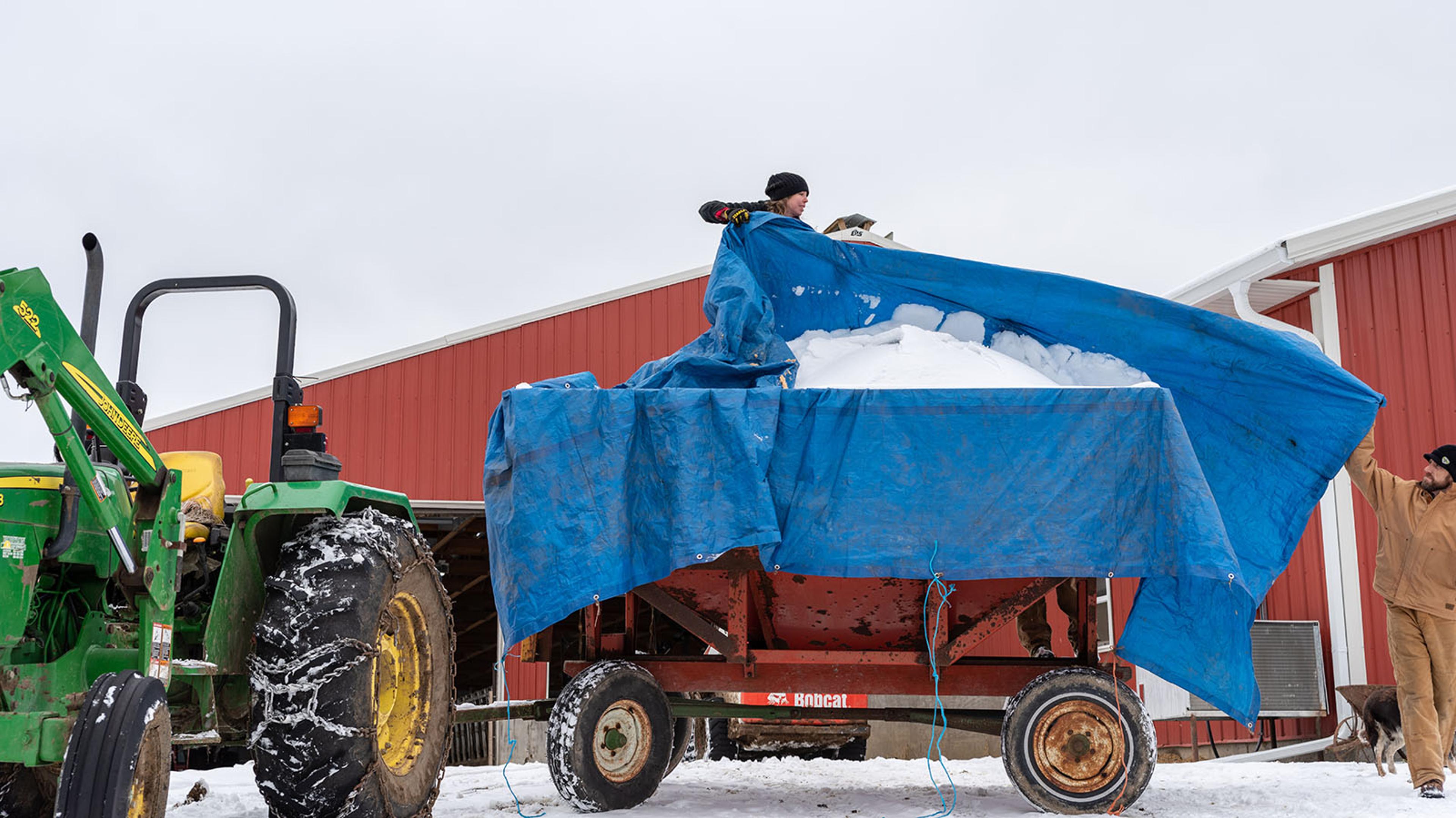 Hauling a snow-covered tarp off a bin of bedding.