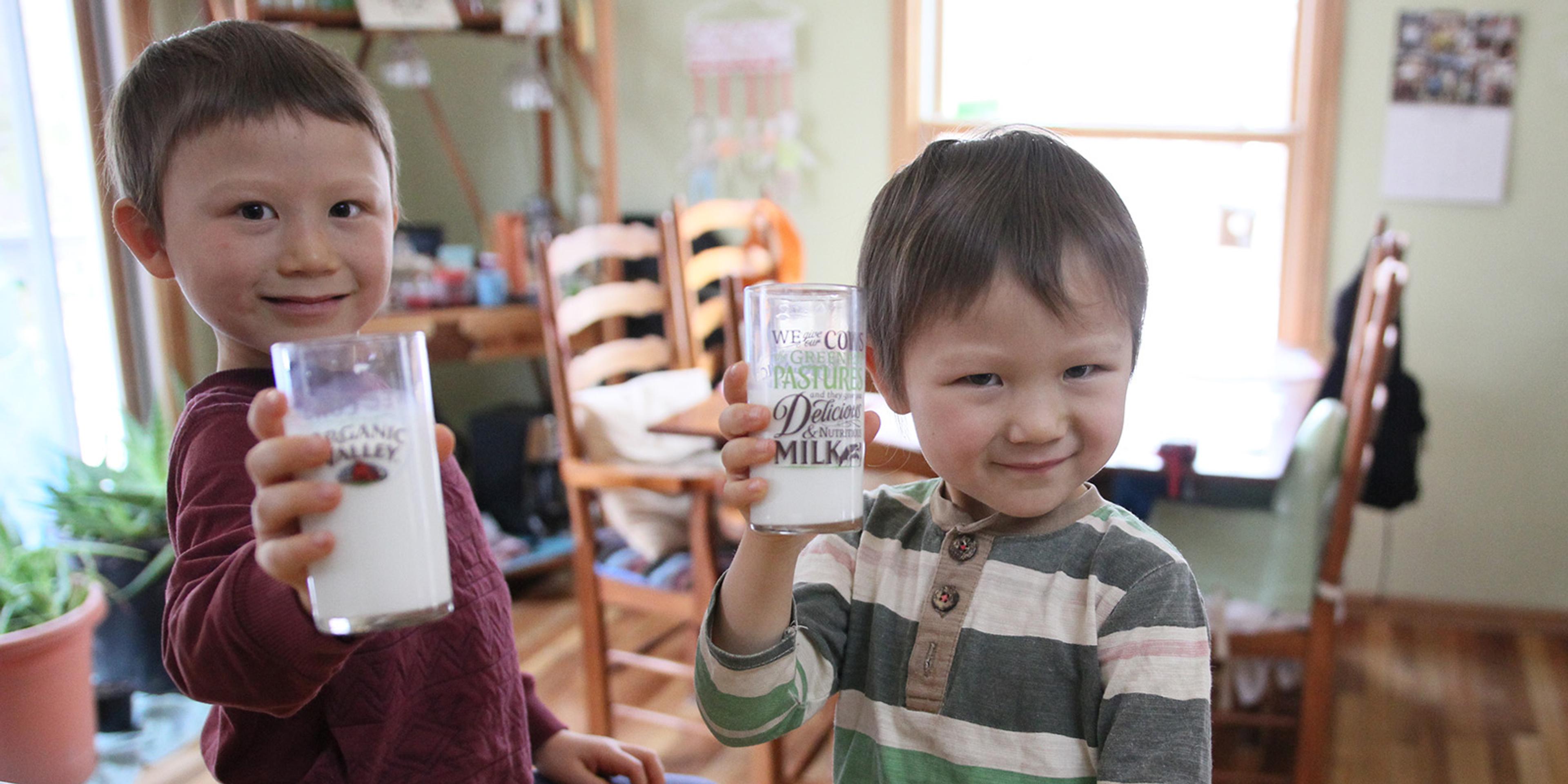 Two young boys drink Organic Valley milk.