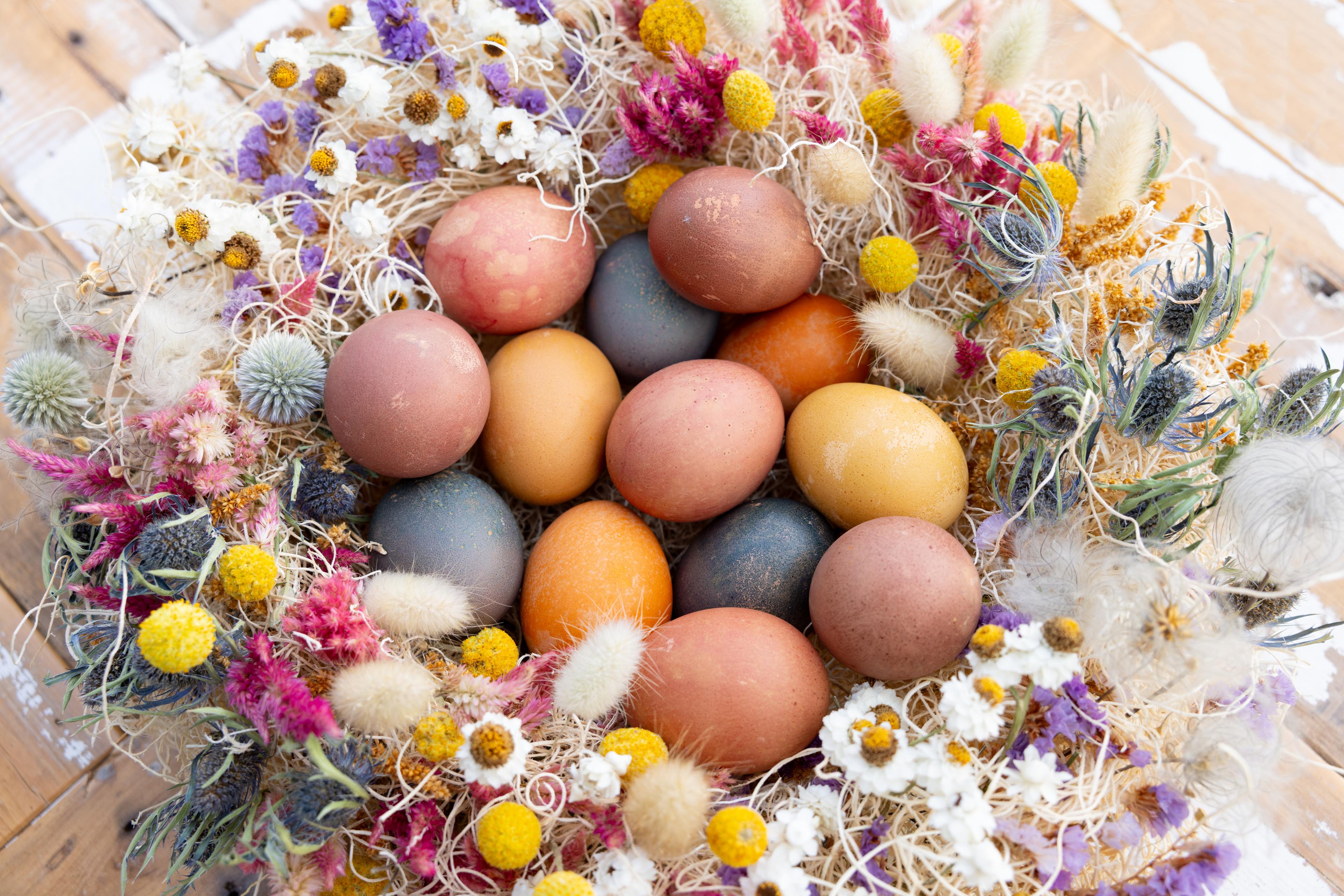 Dyed eggs centered in an arrangement of dried wildflowers.