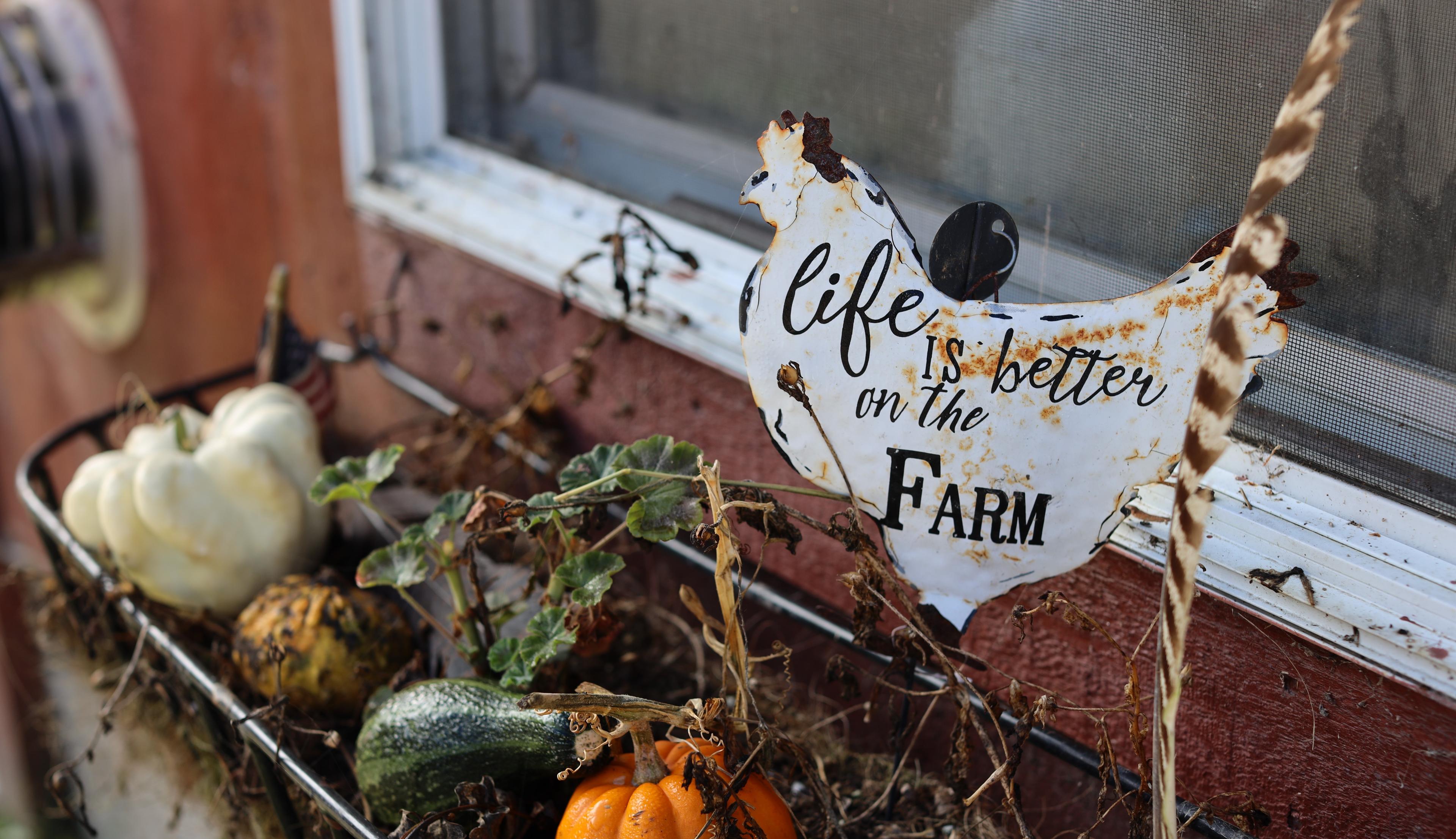 A chicken-shaped sign at an Organic Valley farm in New Hampshire reads “life is better on the farm.”