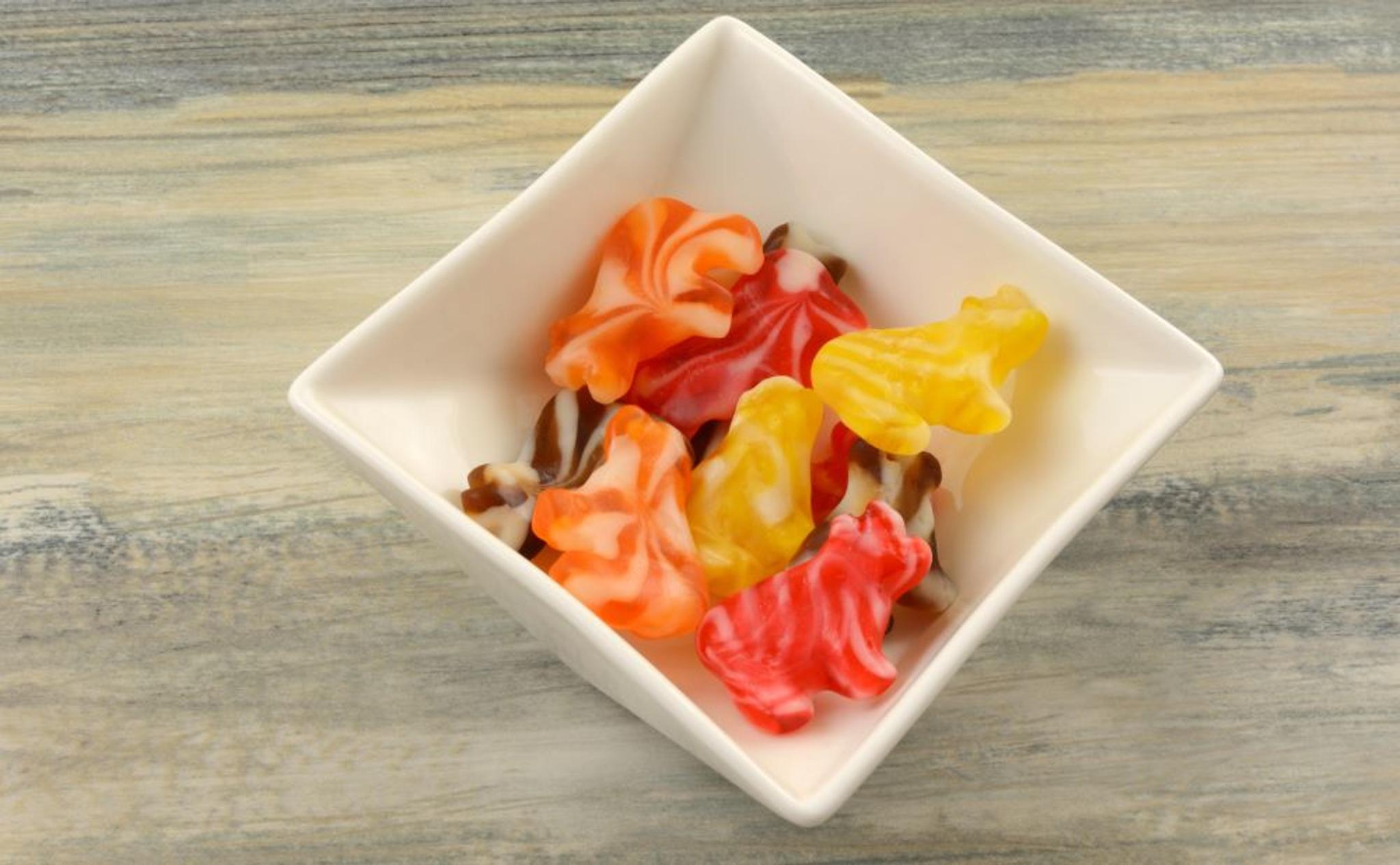 A bowl of candy cow gummies in various colors.