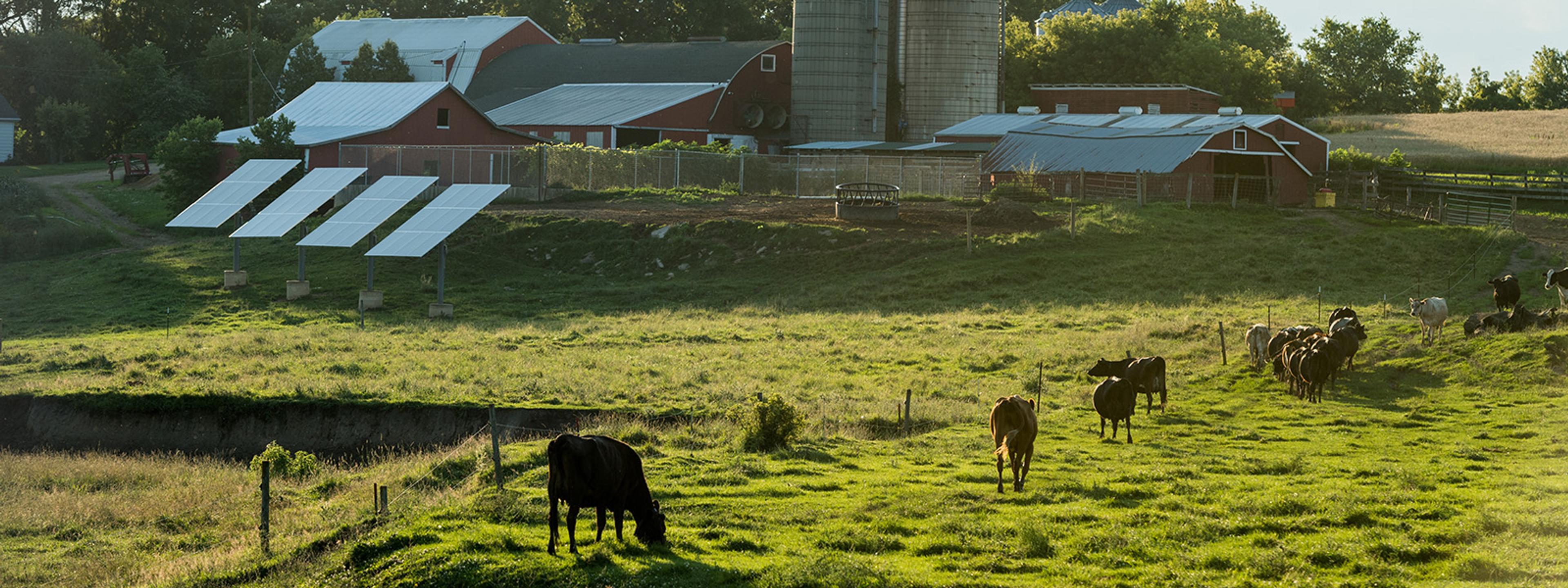 Organic Valley farms take sustainable measures