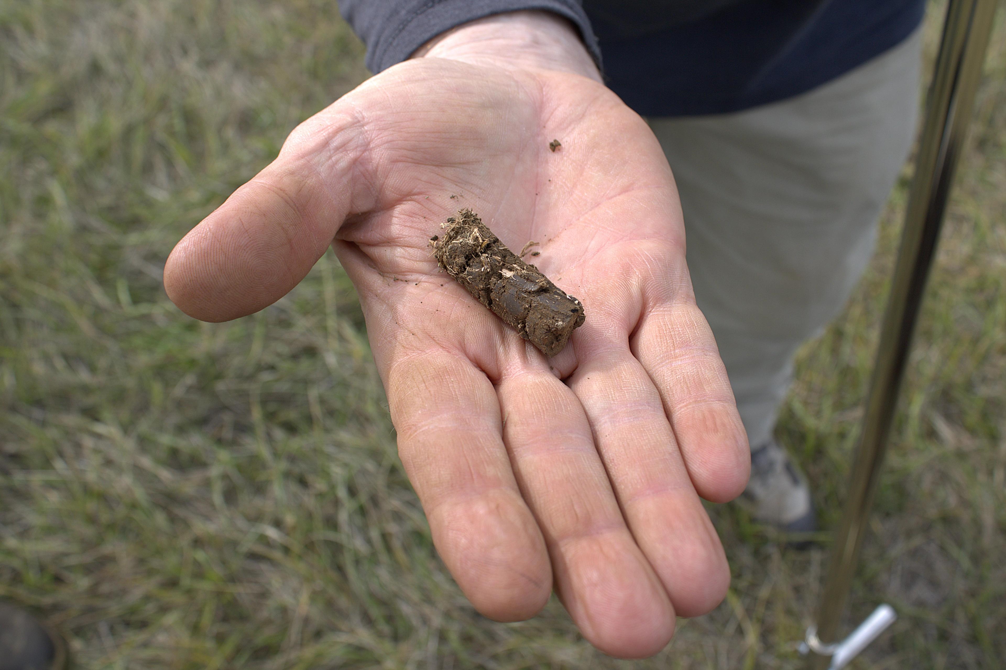 Close-up of Mike Robinson’s hand holding a cylindrical soil plug.