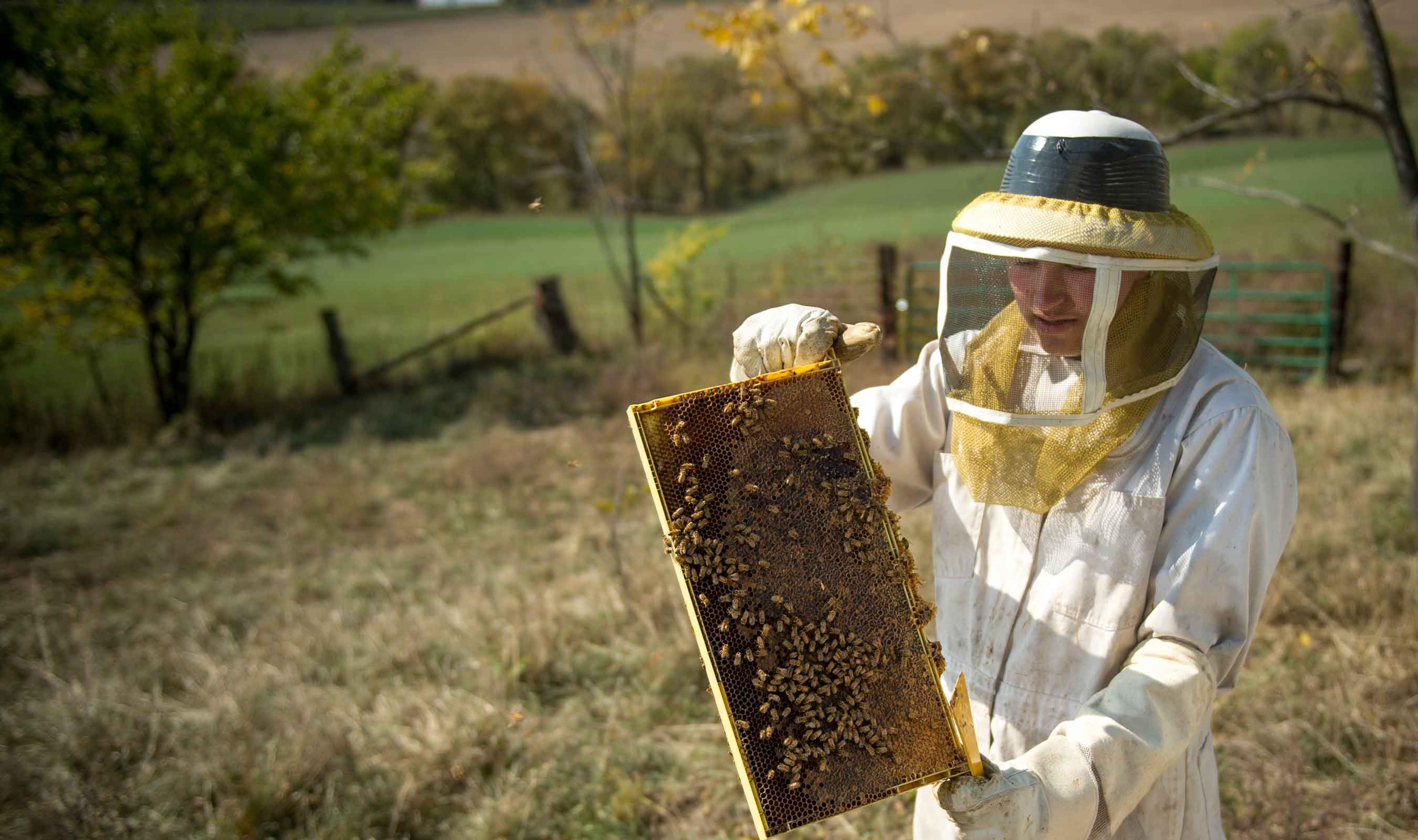 Someone in beekeeping gear taking care of their hive.