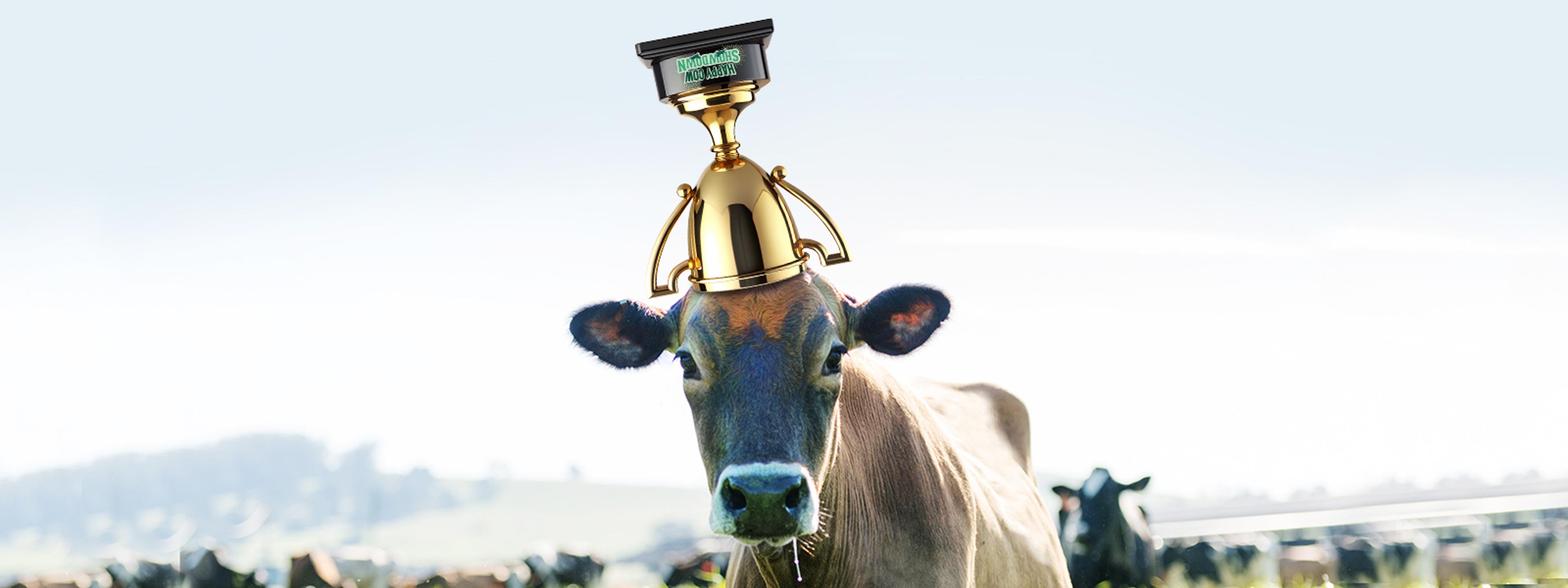 A cow with an upside down trophy on her head.