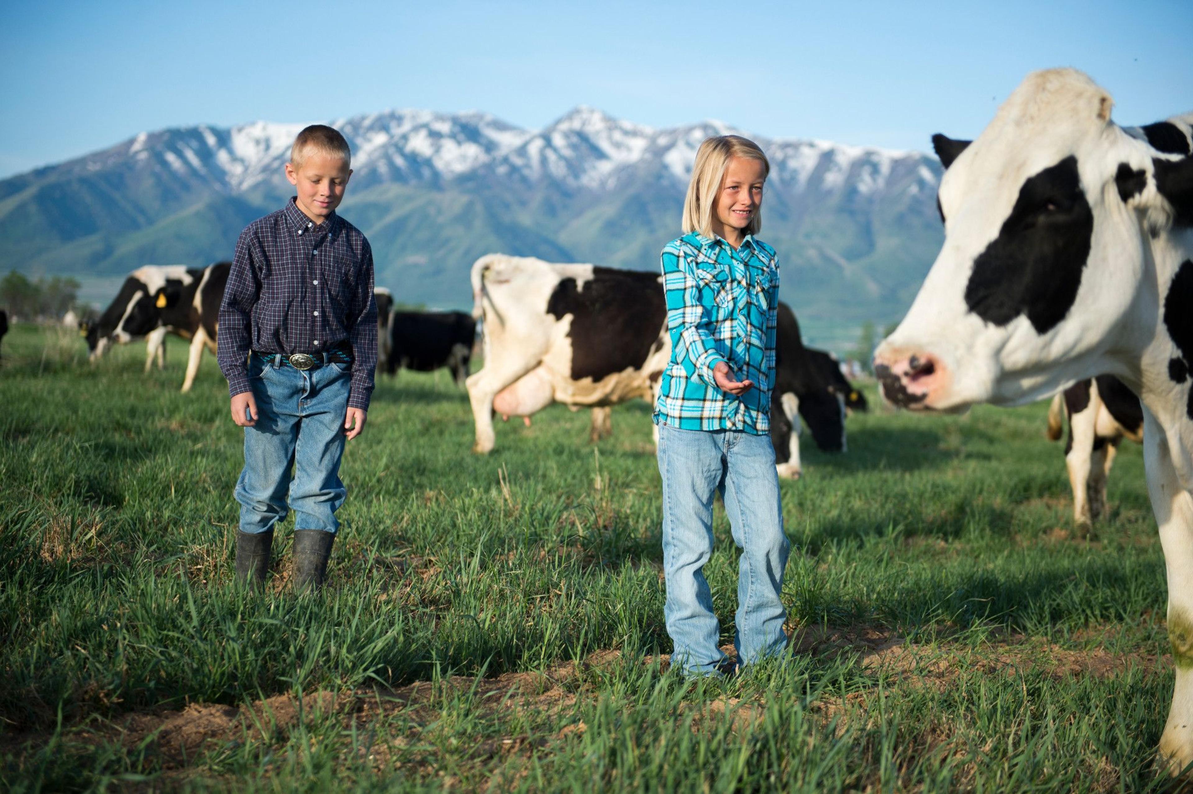 The Wangsgard family farm in Utah.