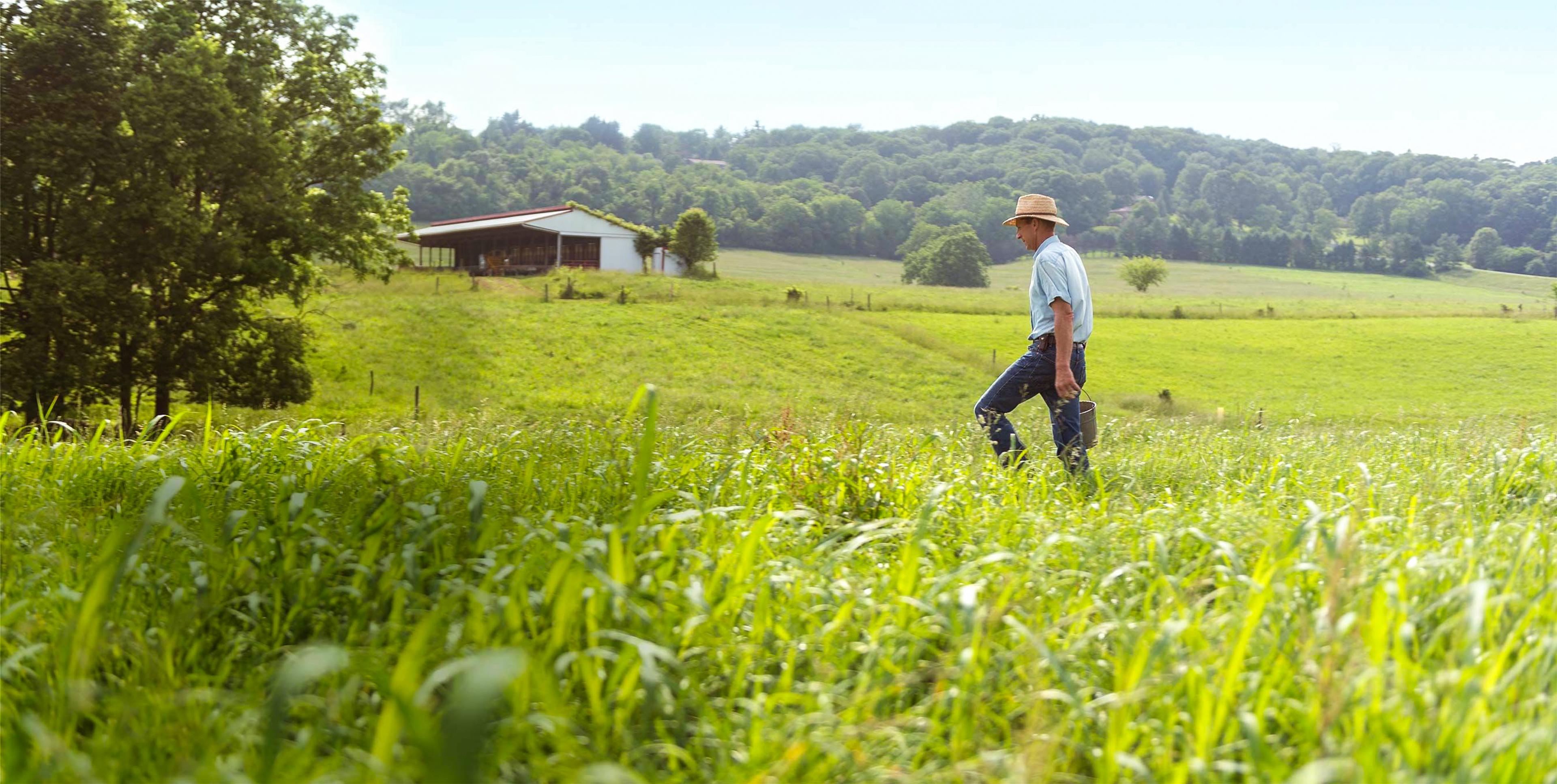 An Organic Valley farmer carrying a pail out to the pasture.