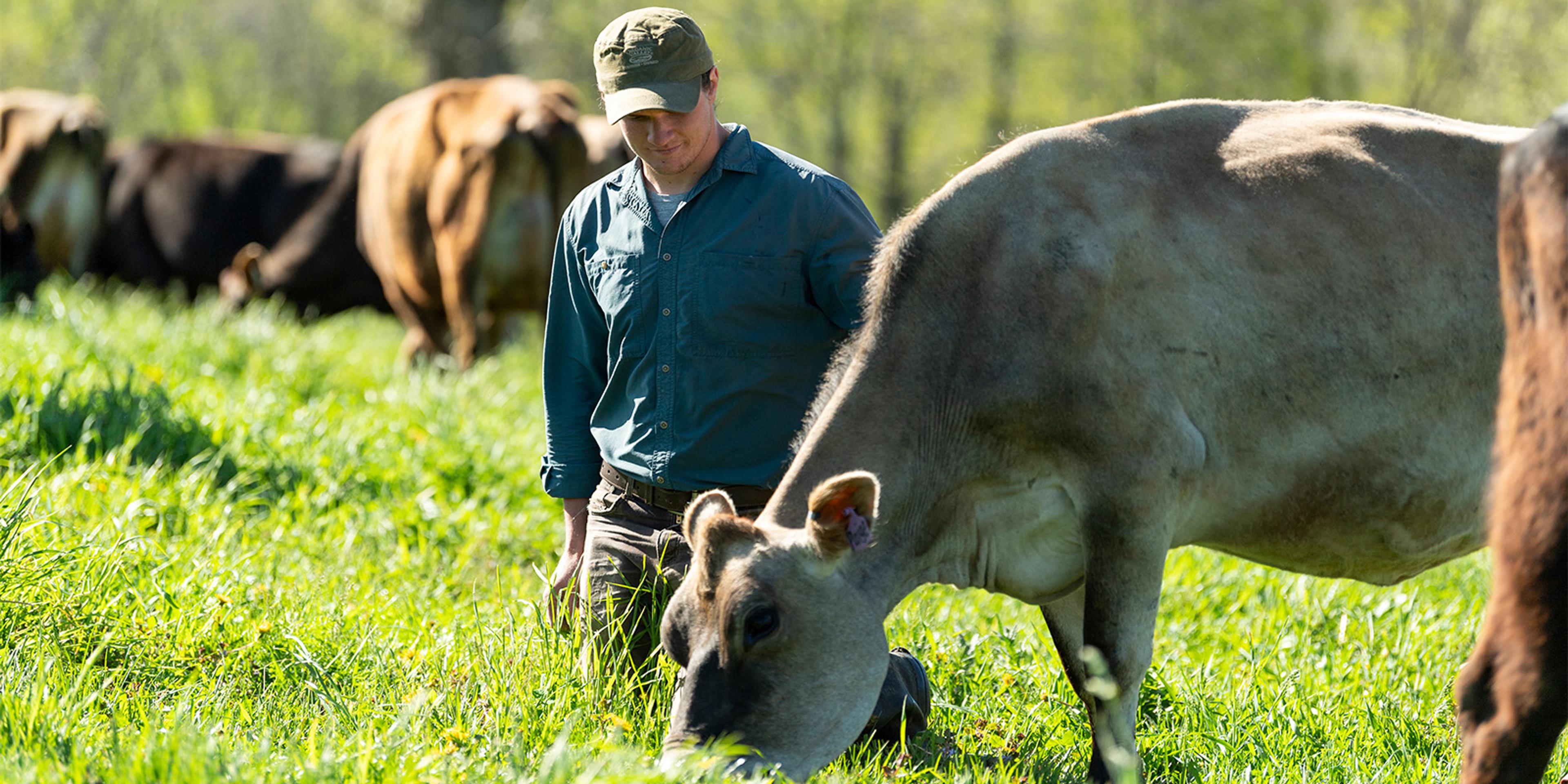 A farmer with a cow.