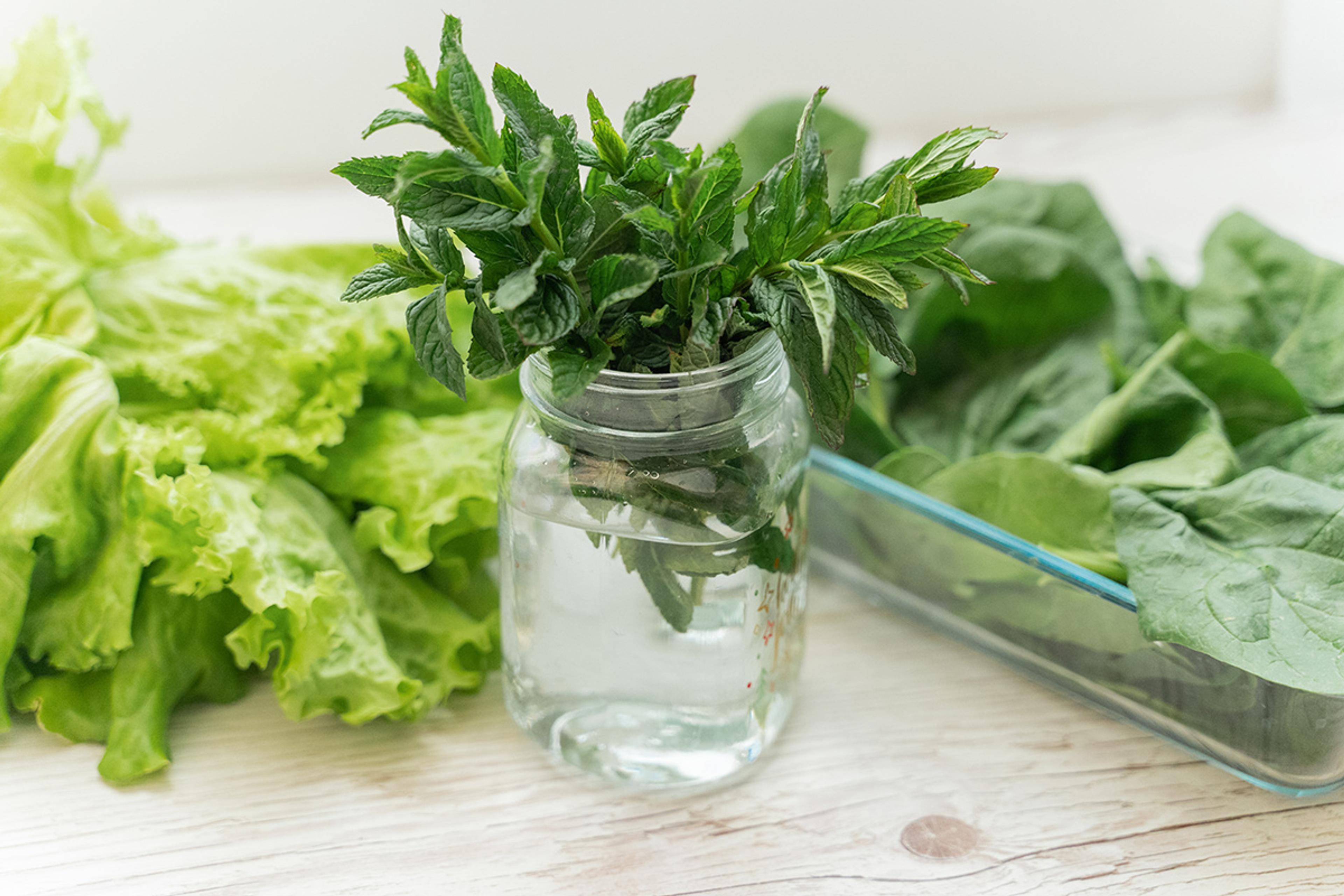 Fresh mint stored in a mason jar.