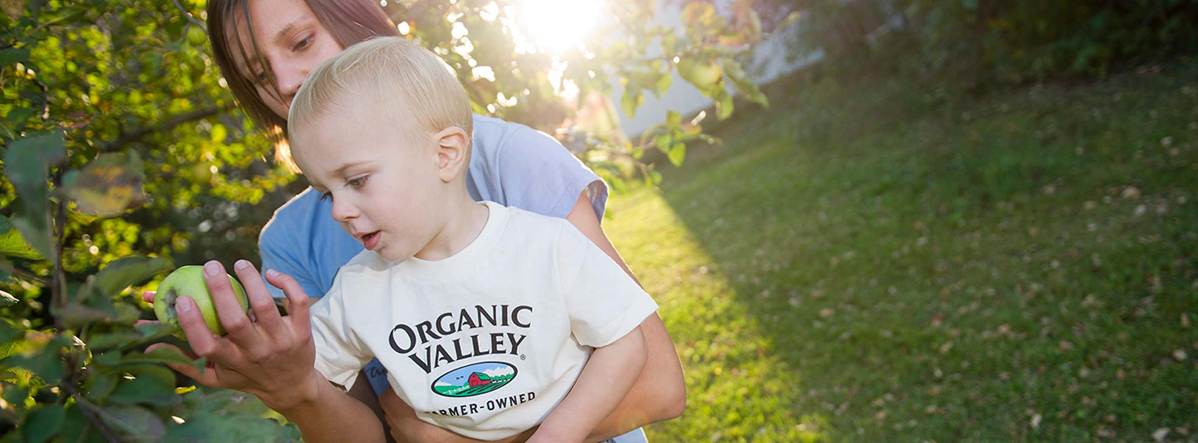 A mom and her son picking apples from a tree.