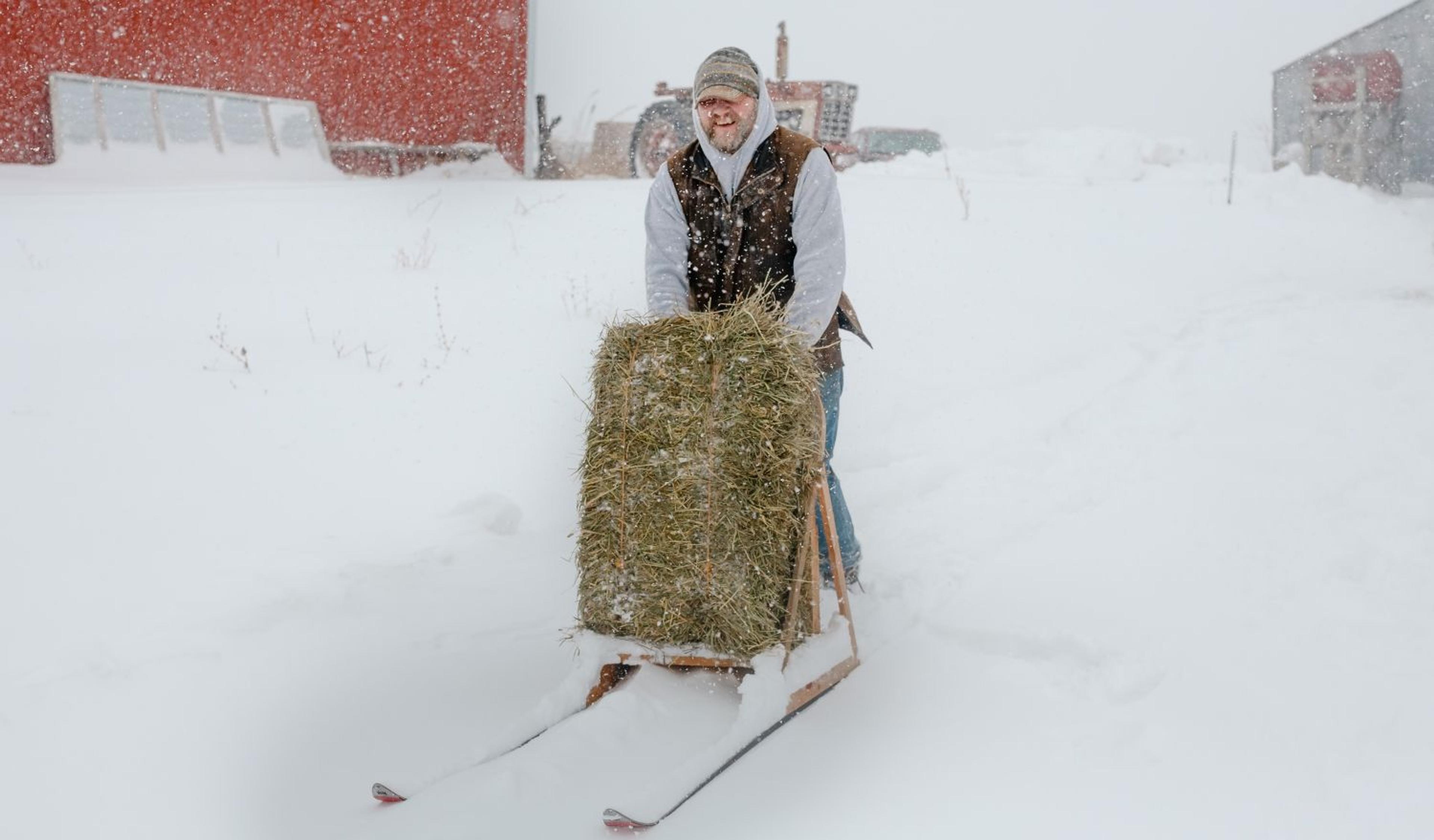 A farmer puts a square hay bale on a sled to take to cows on a snowy day.