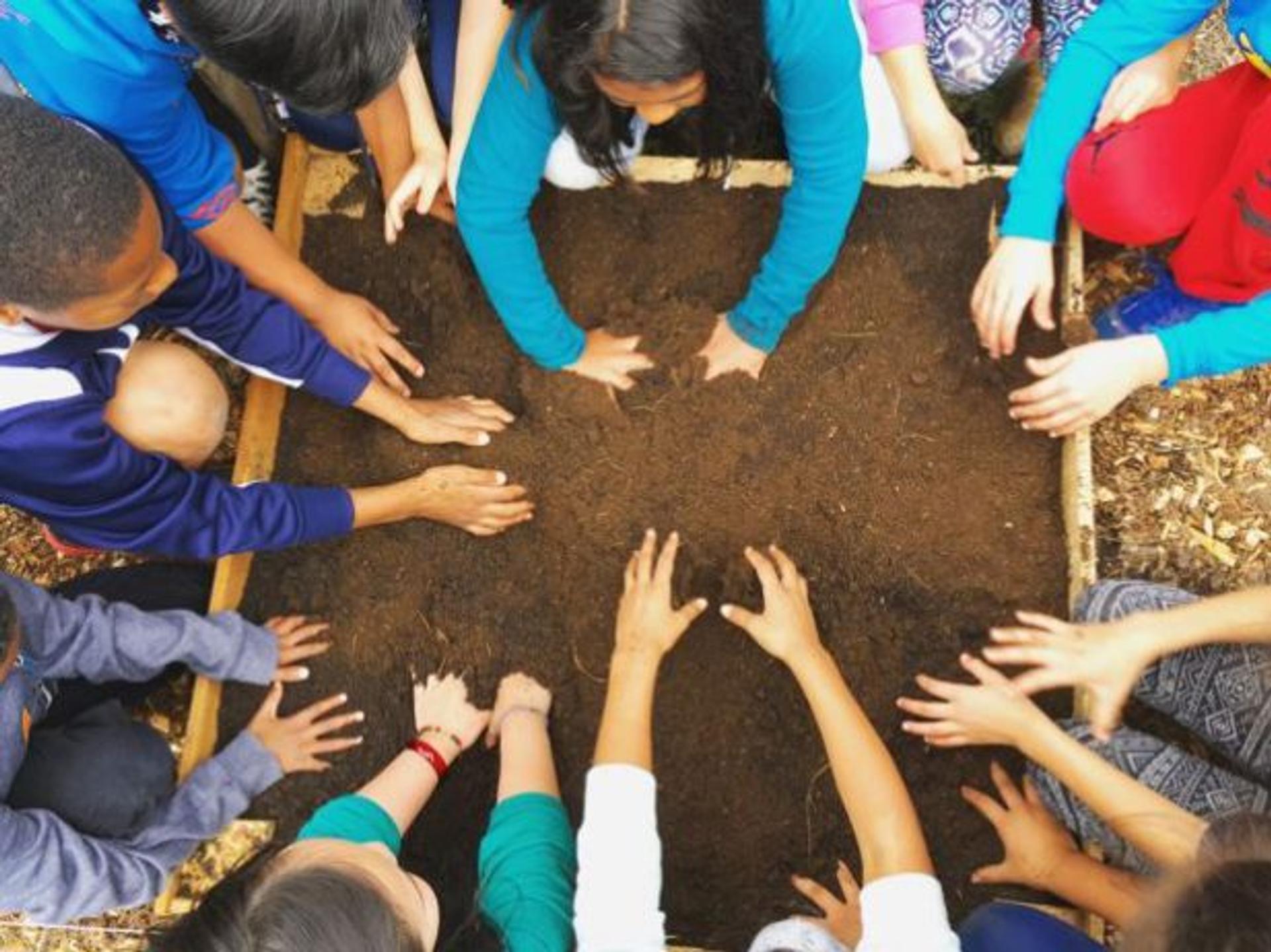 Children get their hands in the dirt during a Zenger Farm field trip.