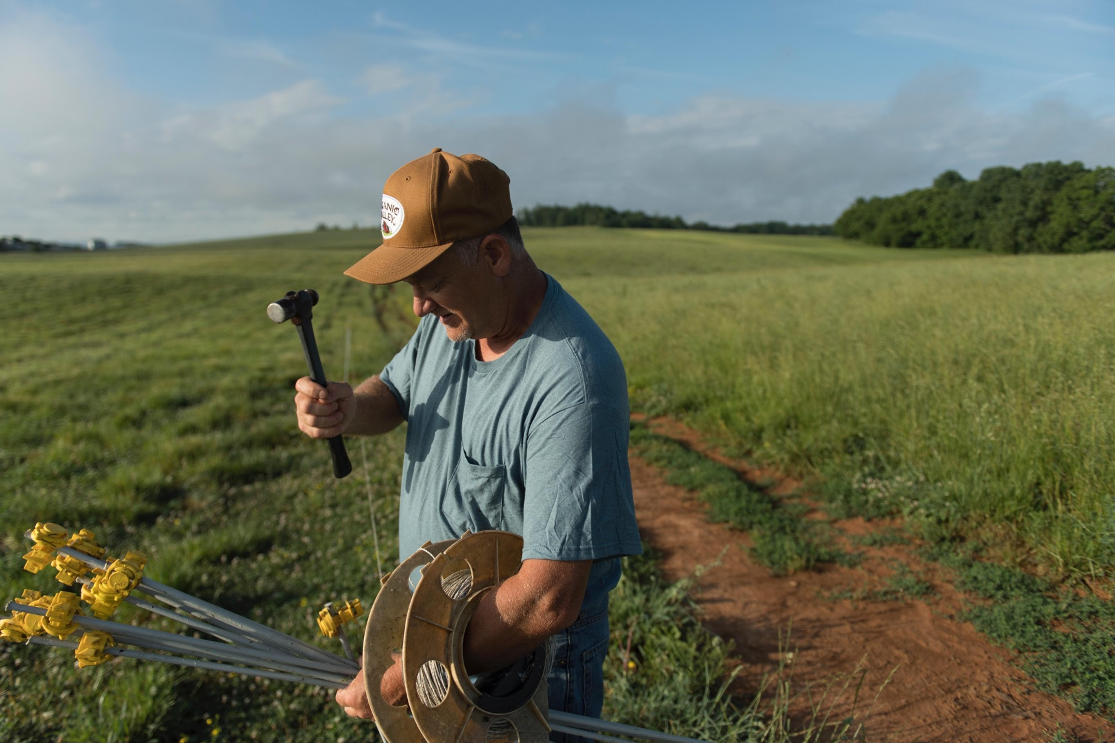 A farmer wearing an Organic Valley hat hammers portable fence stakes into his green pasture.