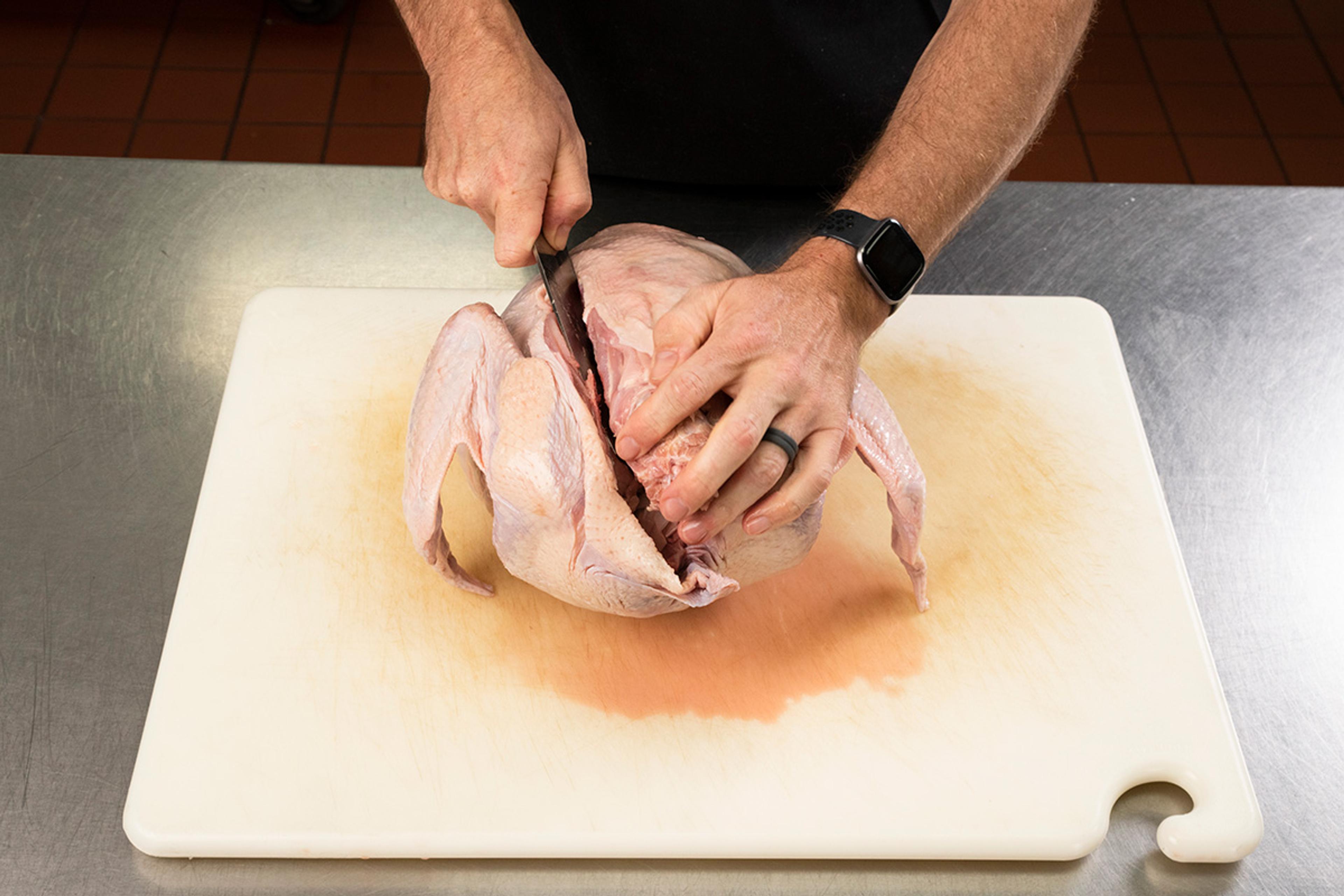 Starting to spatchcock a whole organic turkey by cutting it down the side of the backbone.