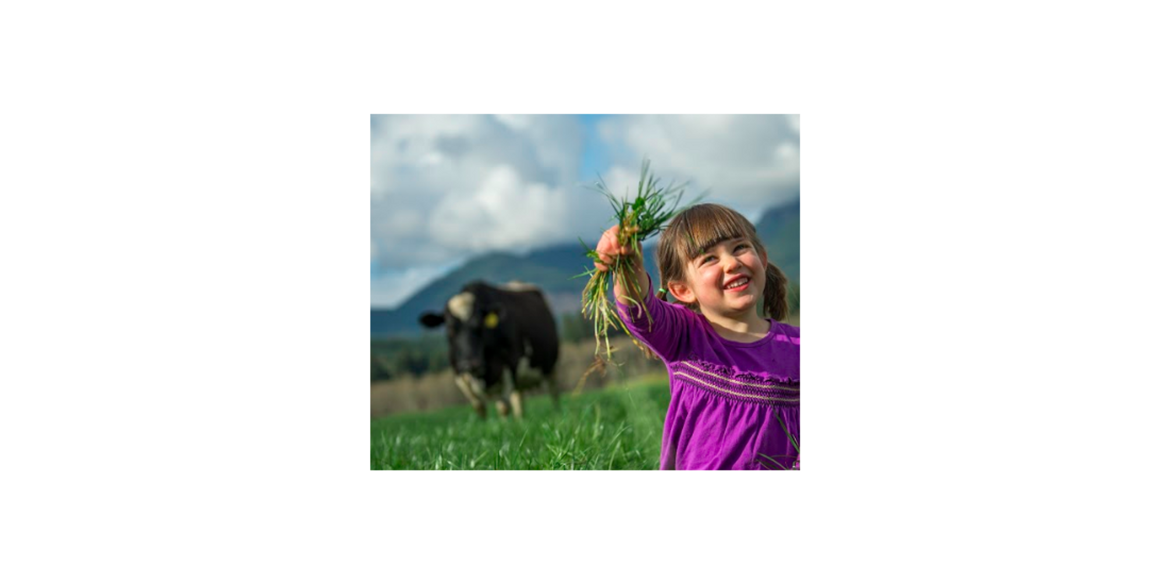 Same view of girl holding grass, slightly zoomed in on the creepy cow looming in the background.