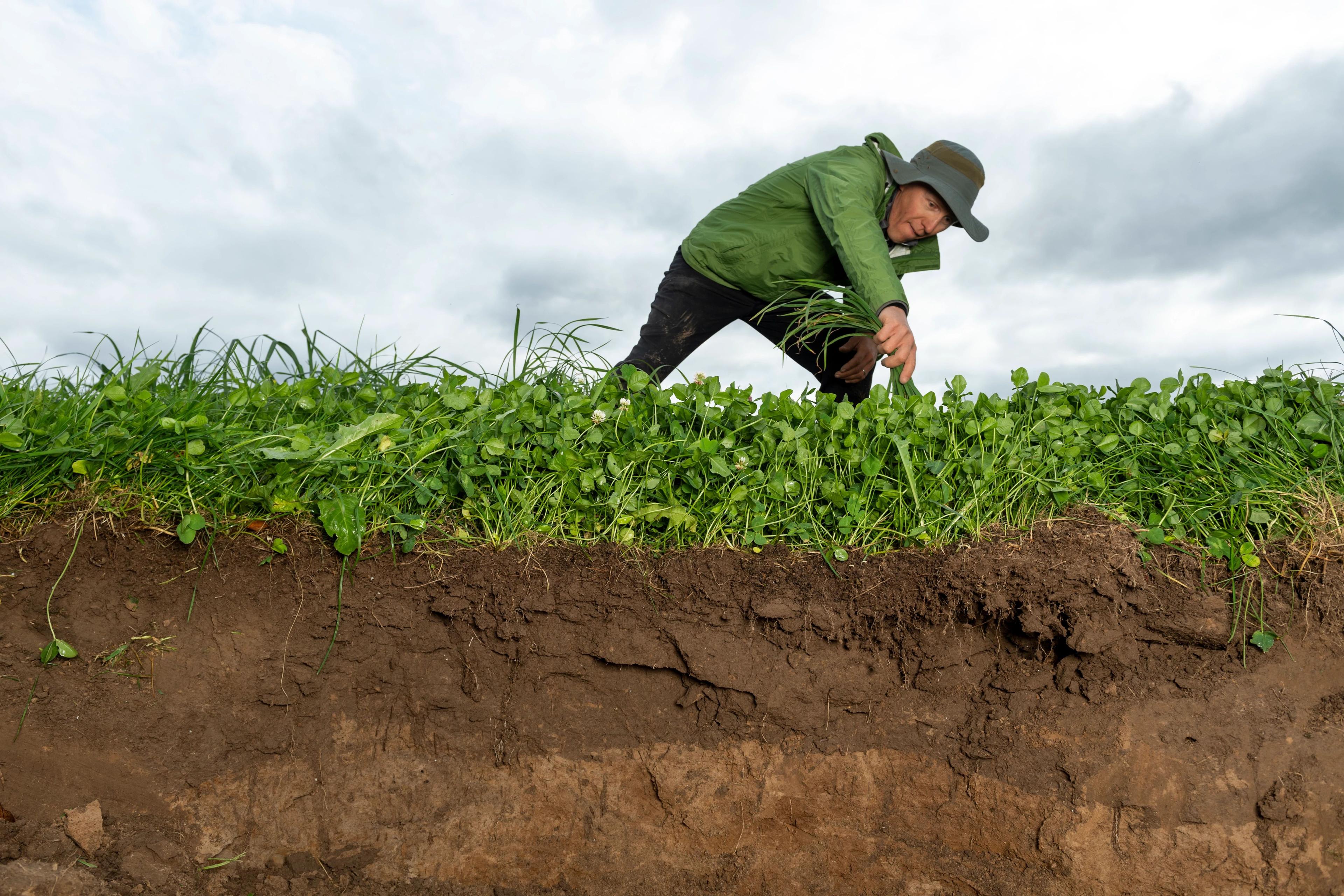 A look at soil and pasture in Wisconsin.