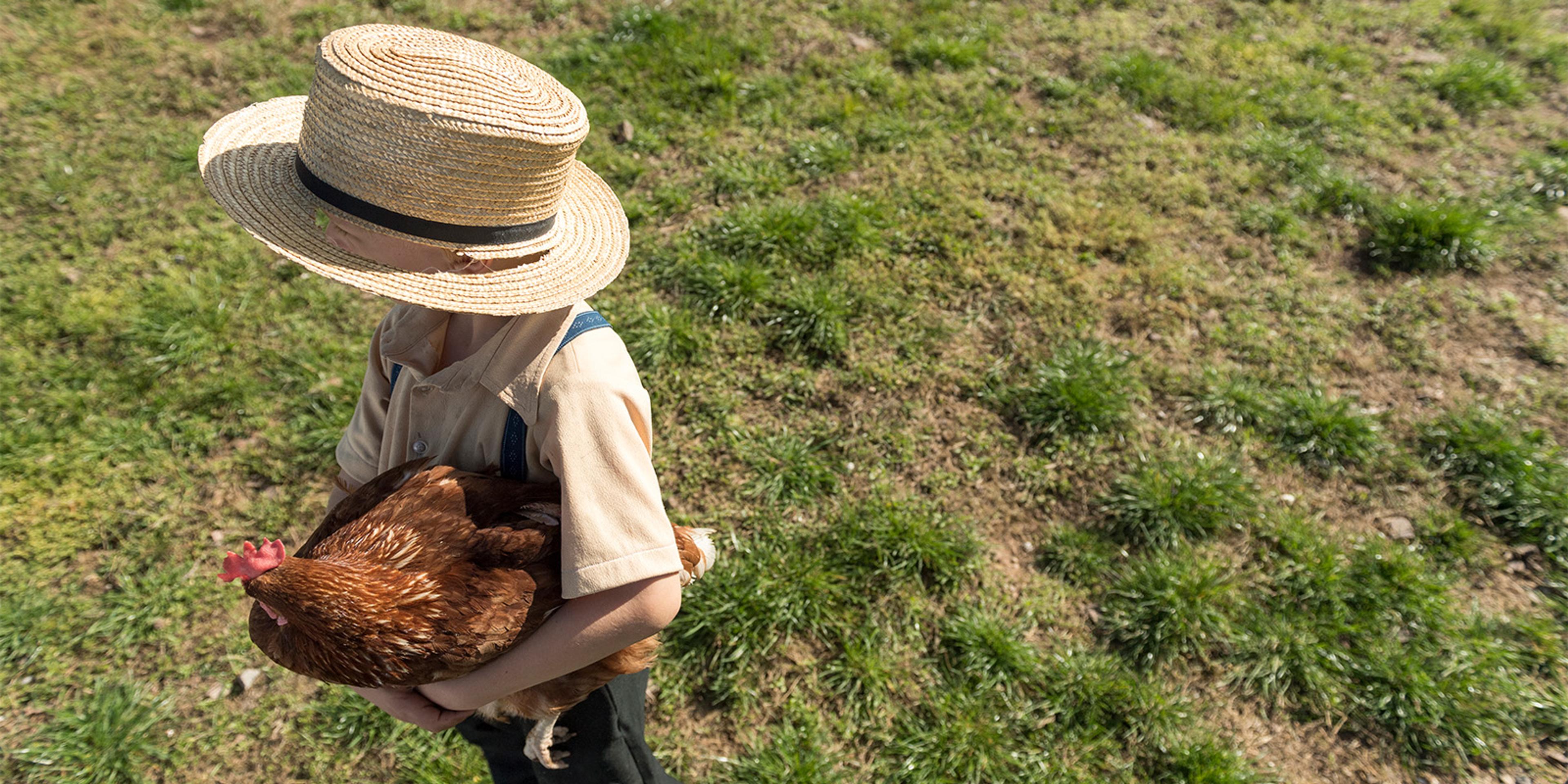 An Amish boy holds a hen on an organic egg farm in Pennsylvania.