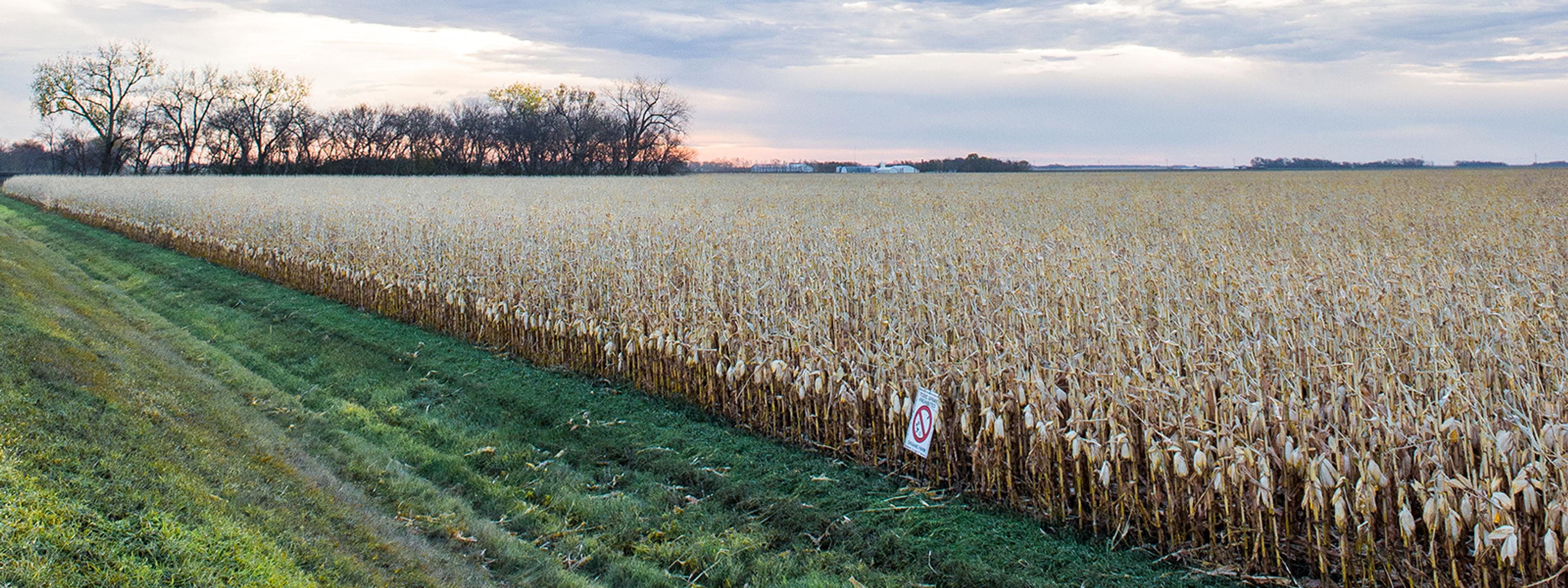 Organically grown crops fare better during times of drought and yield as much or more than conventionally grown crops.