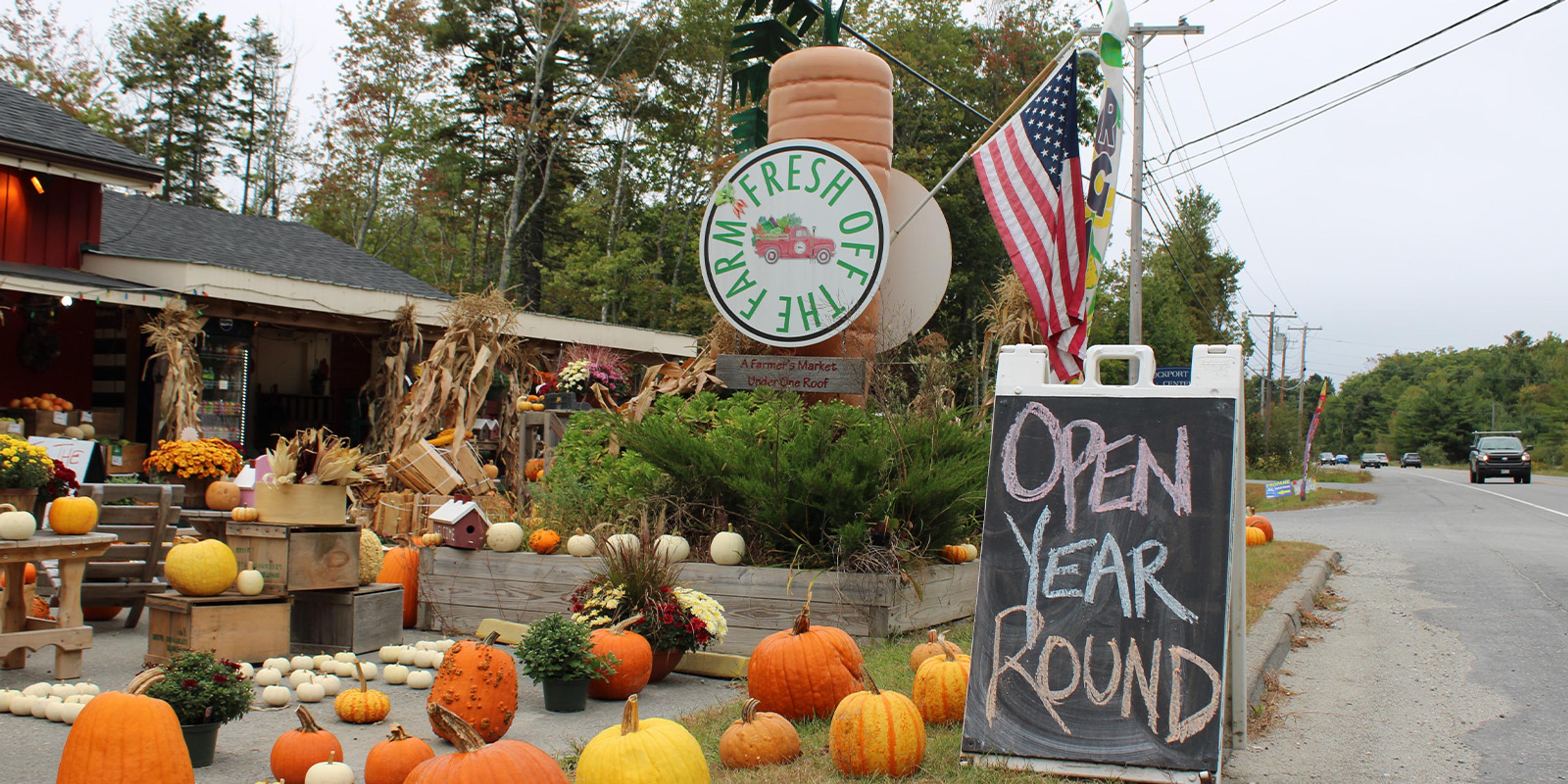 A giant fake carrot surrounded by pumpkins at Fresh Off The Farm store.