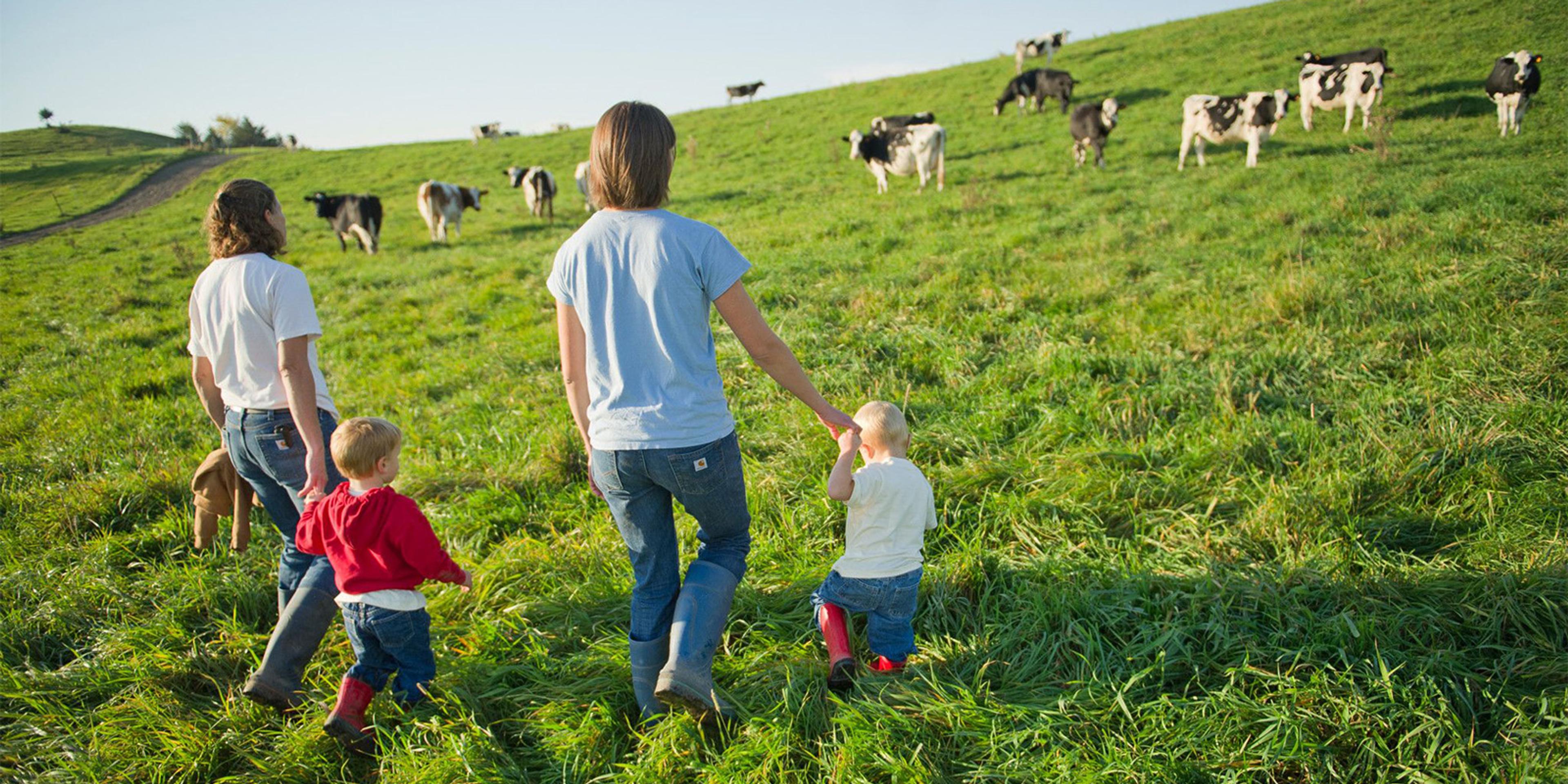 Two women hold hands with two toddler boys as they walk across a cow pasture on the Zweber family farm in Minnesota.