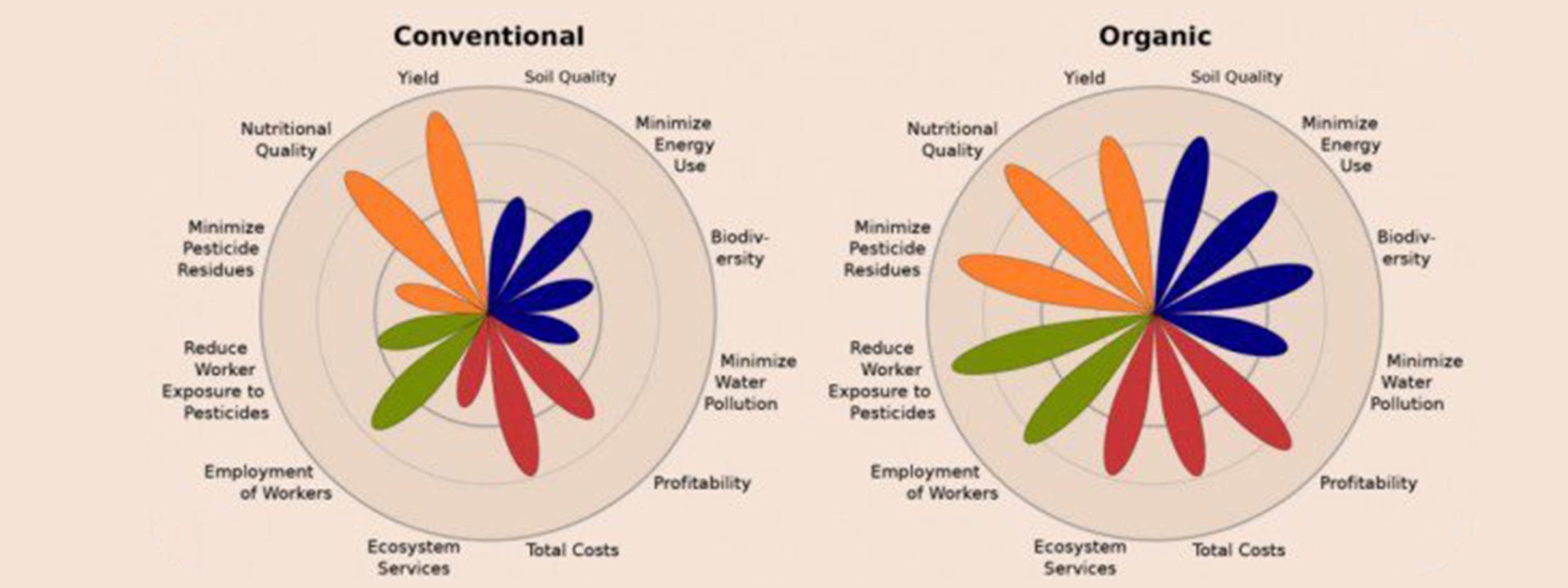 An assessment of organic farming relative to conventional farming illustrates that organic systems better balance the four areas of sustainability. Credit: Reganold and Wachter