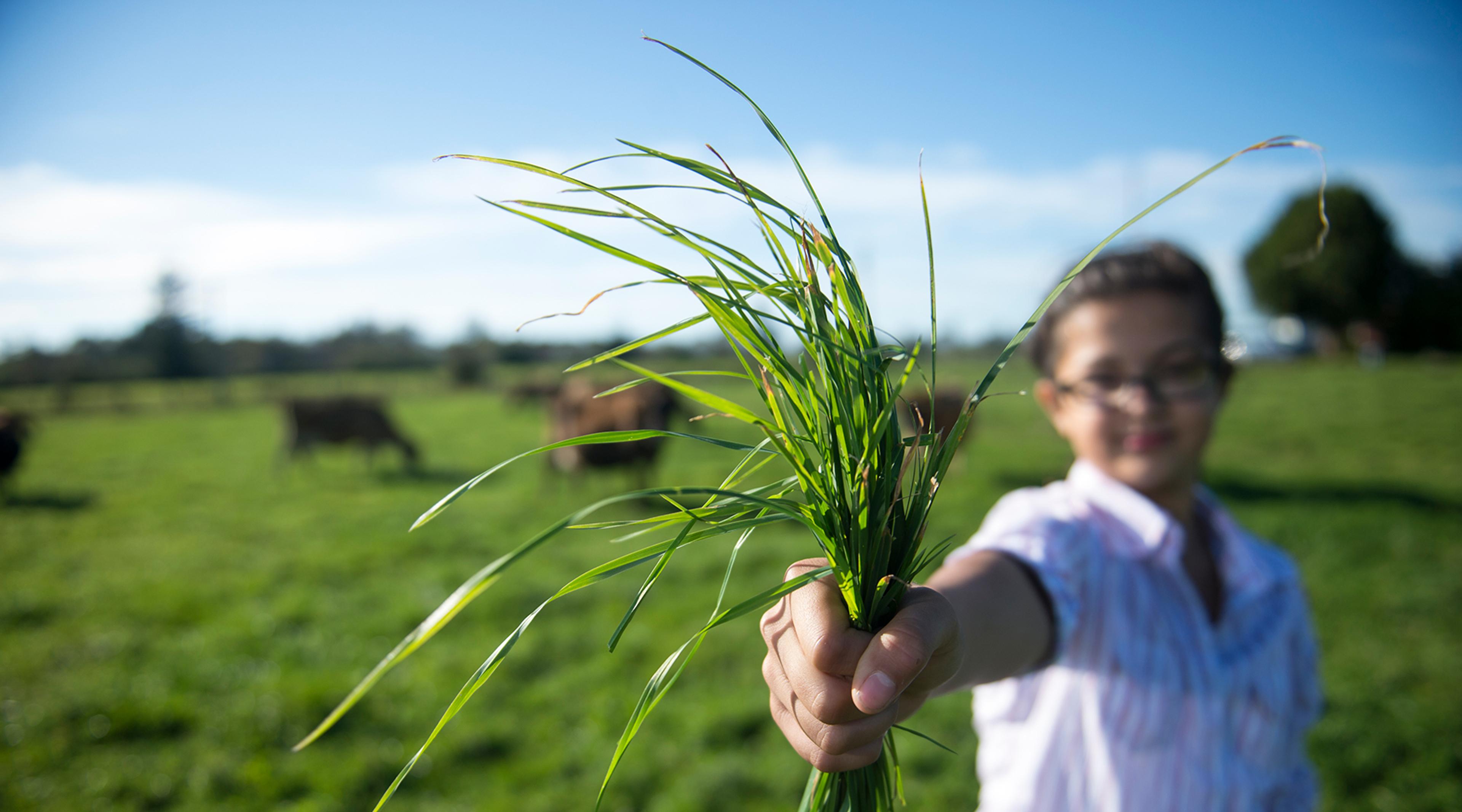 Young girl holding handful of green grass.