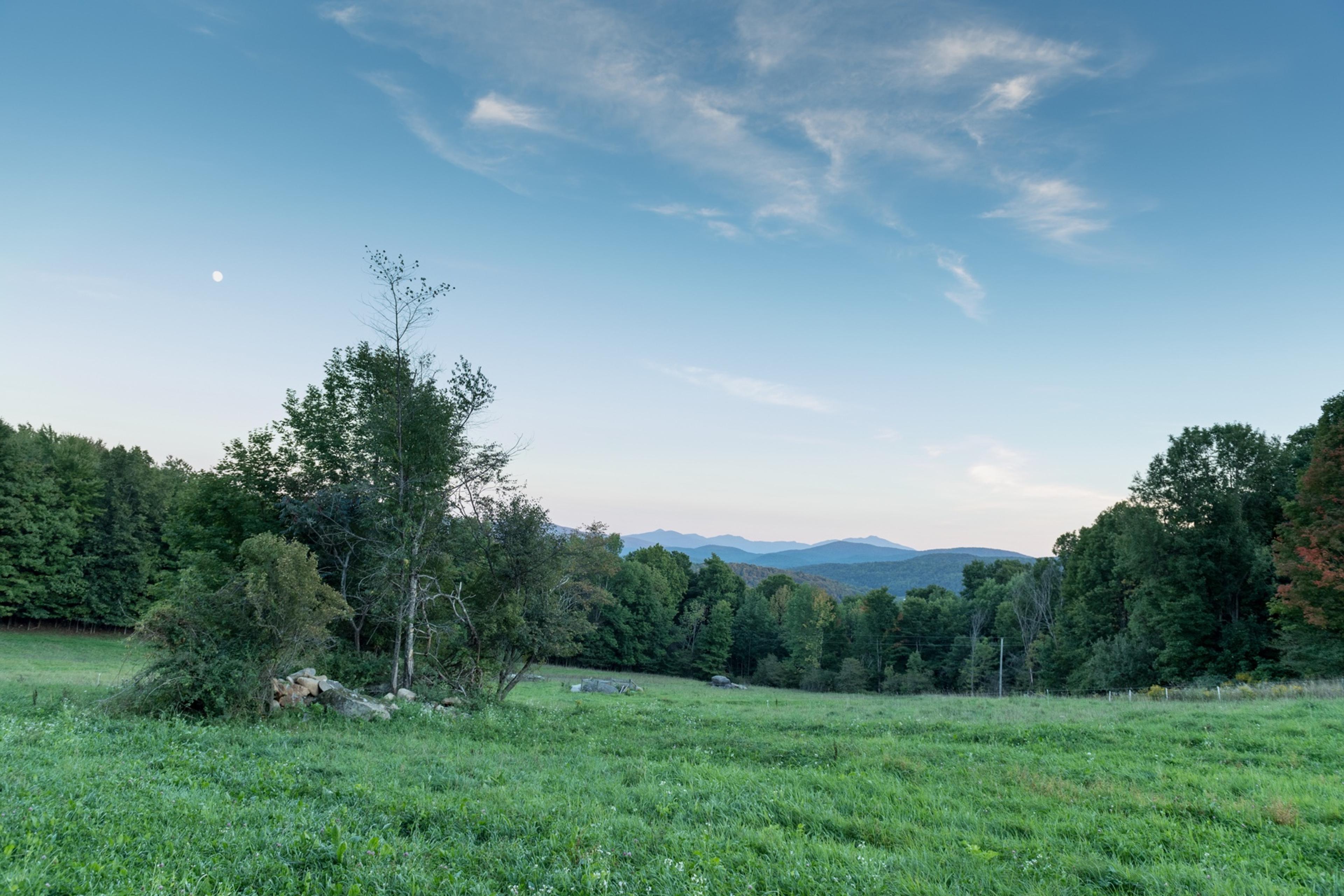 A view of green pasture bordered by trees with hazy mountains in the distance and wispy clouds in a blue sky.