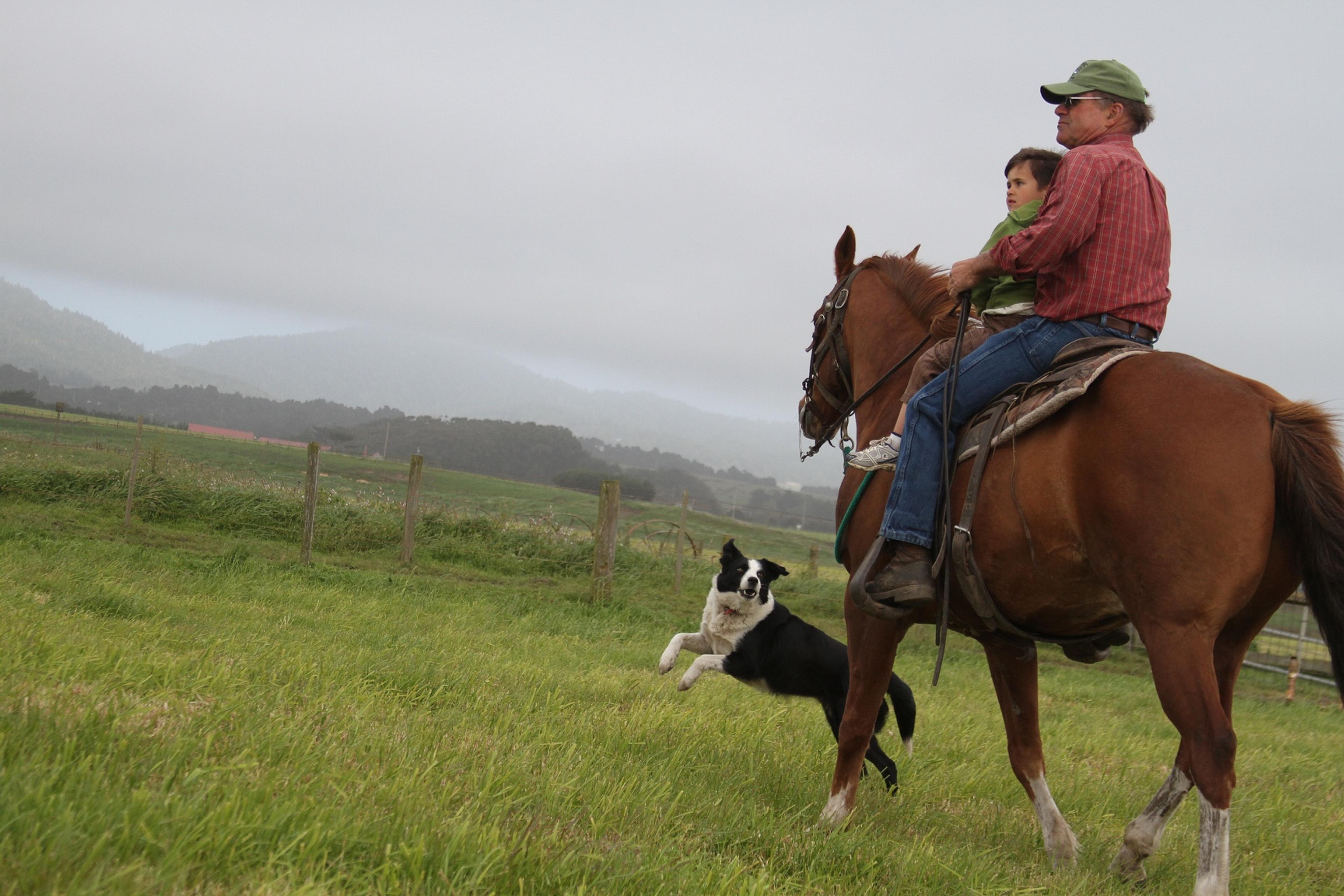 A man holds a child while riding his horse as the farm dog jumps for joy.