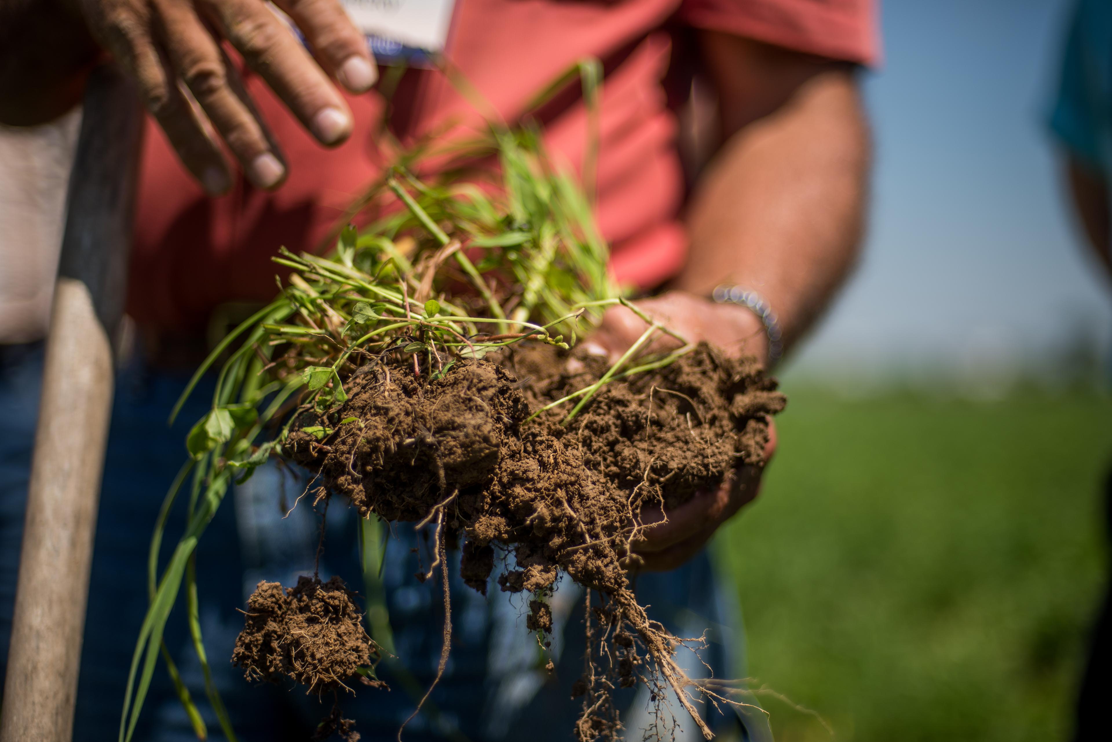 A farmer holds a clump of dirt.