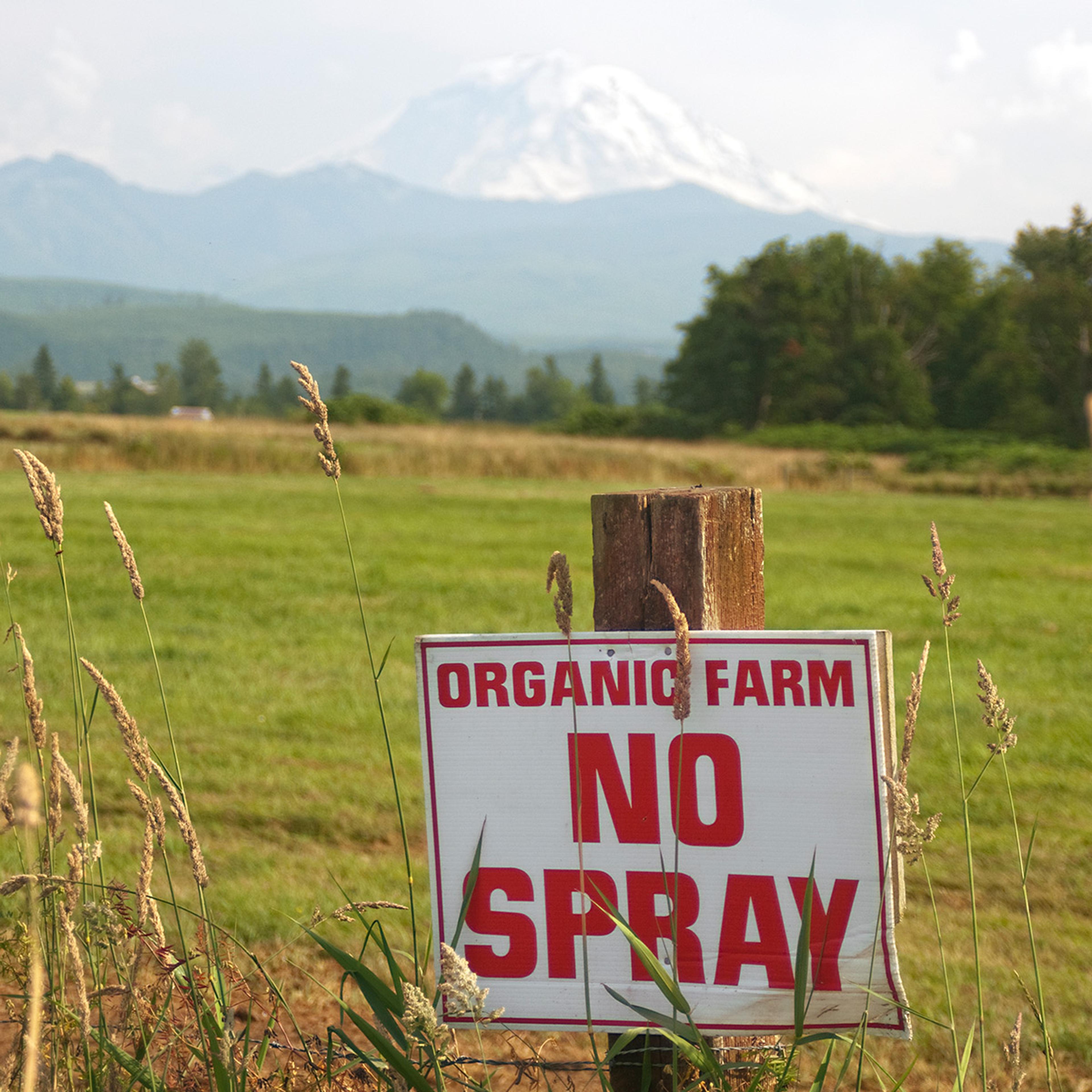 A sign on the edge of a pasture that reads “organic farm no spray.” Mount Rainier is in the distance.