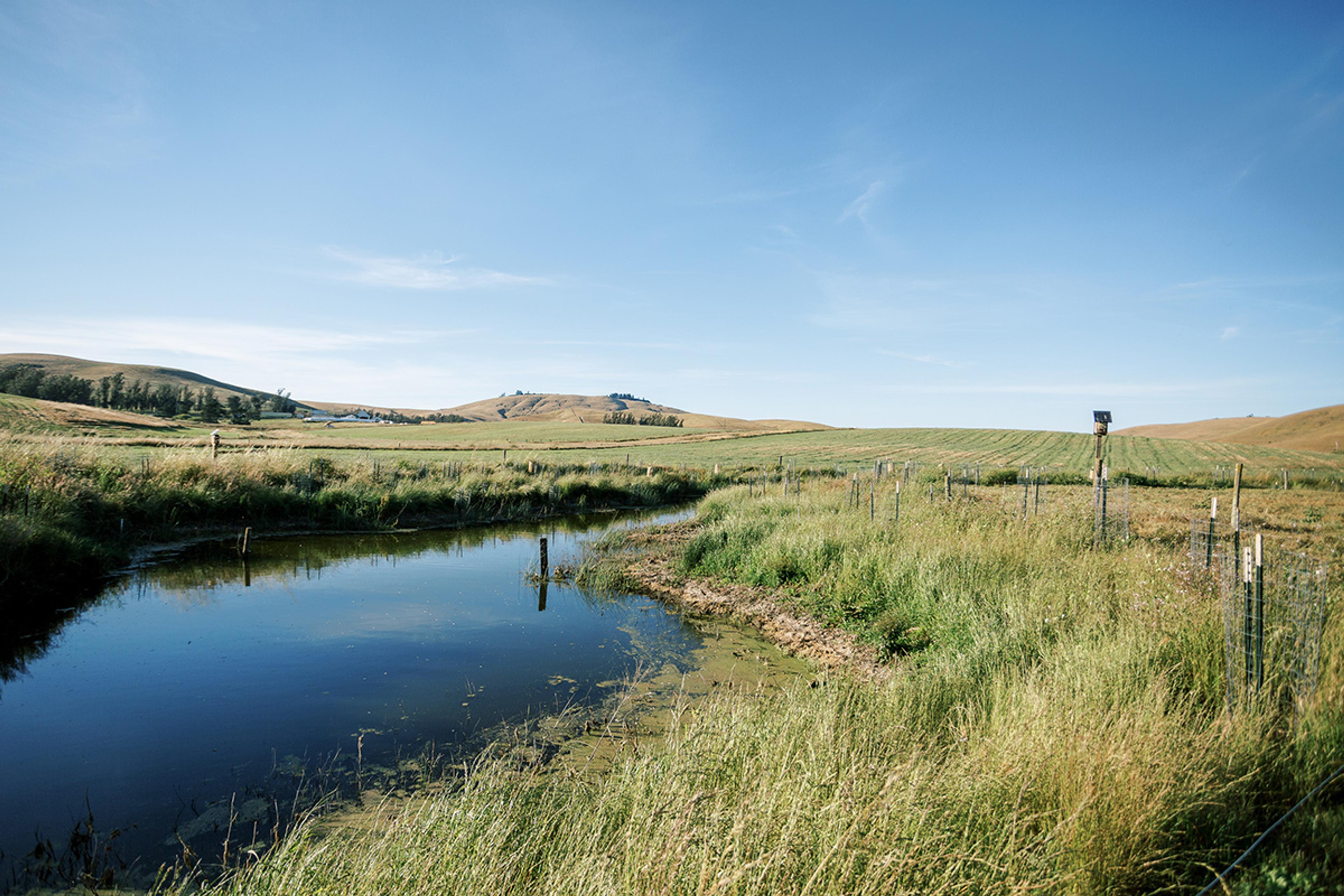 Riparian restoration in action on an Organic Valley farm showing fenced off areas.