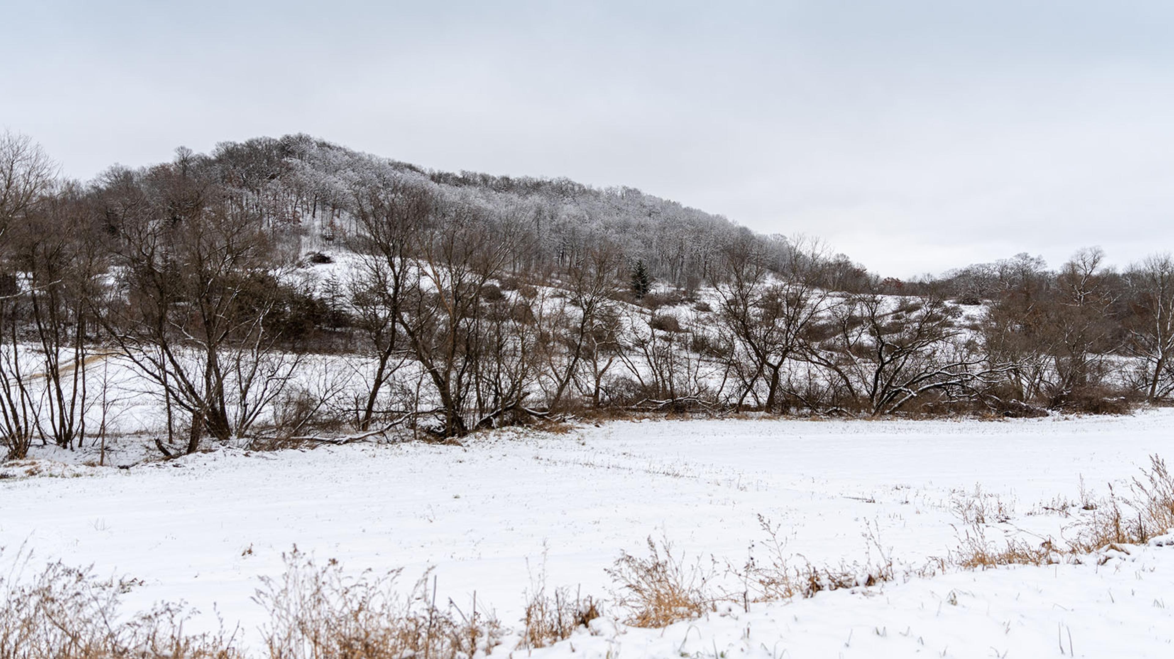Snow-covered hills overlooking the Ralph-Hemsteads’ Wisconsin farm