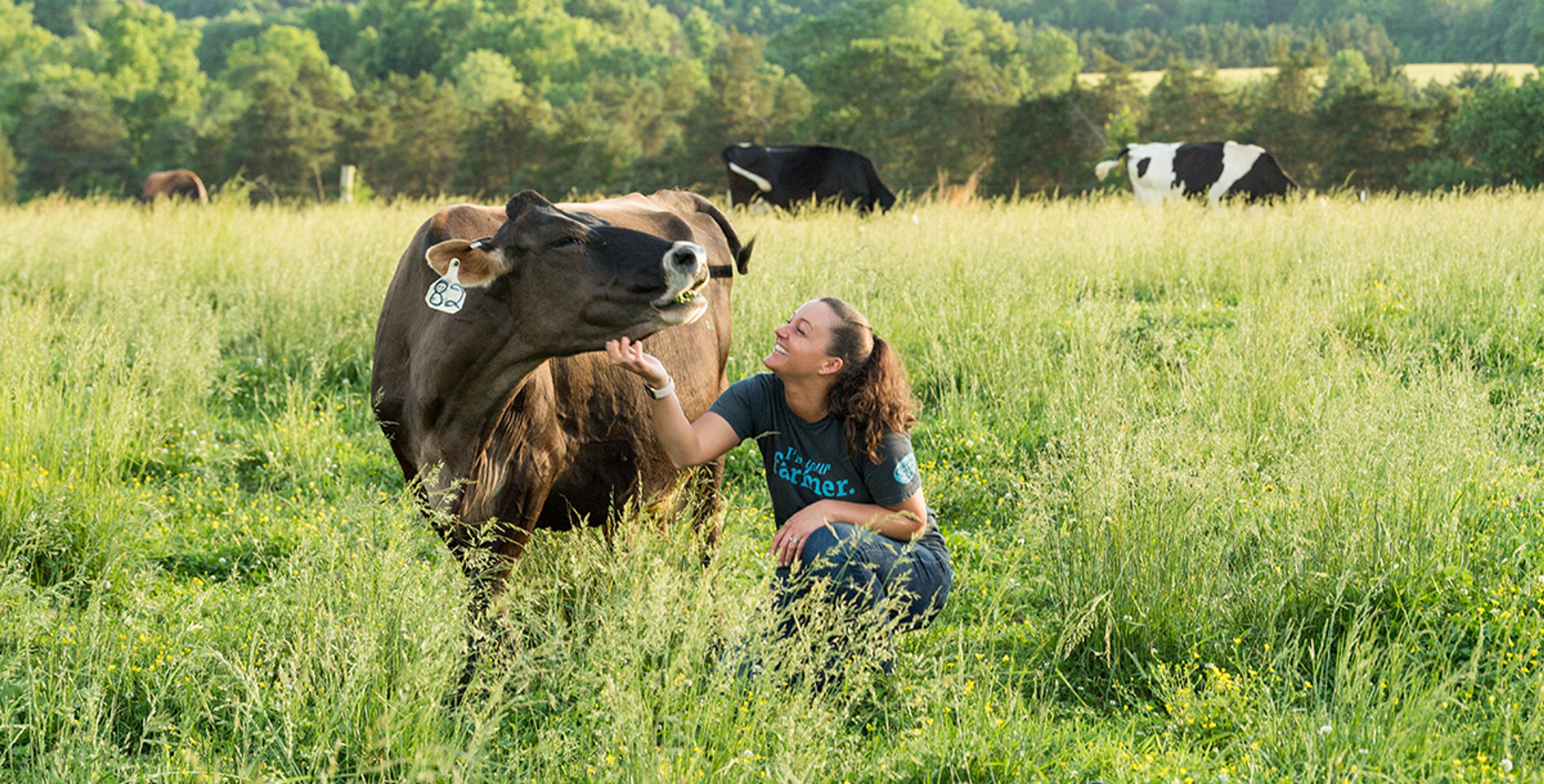 A farmer in the pasture amongst cows.