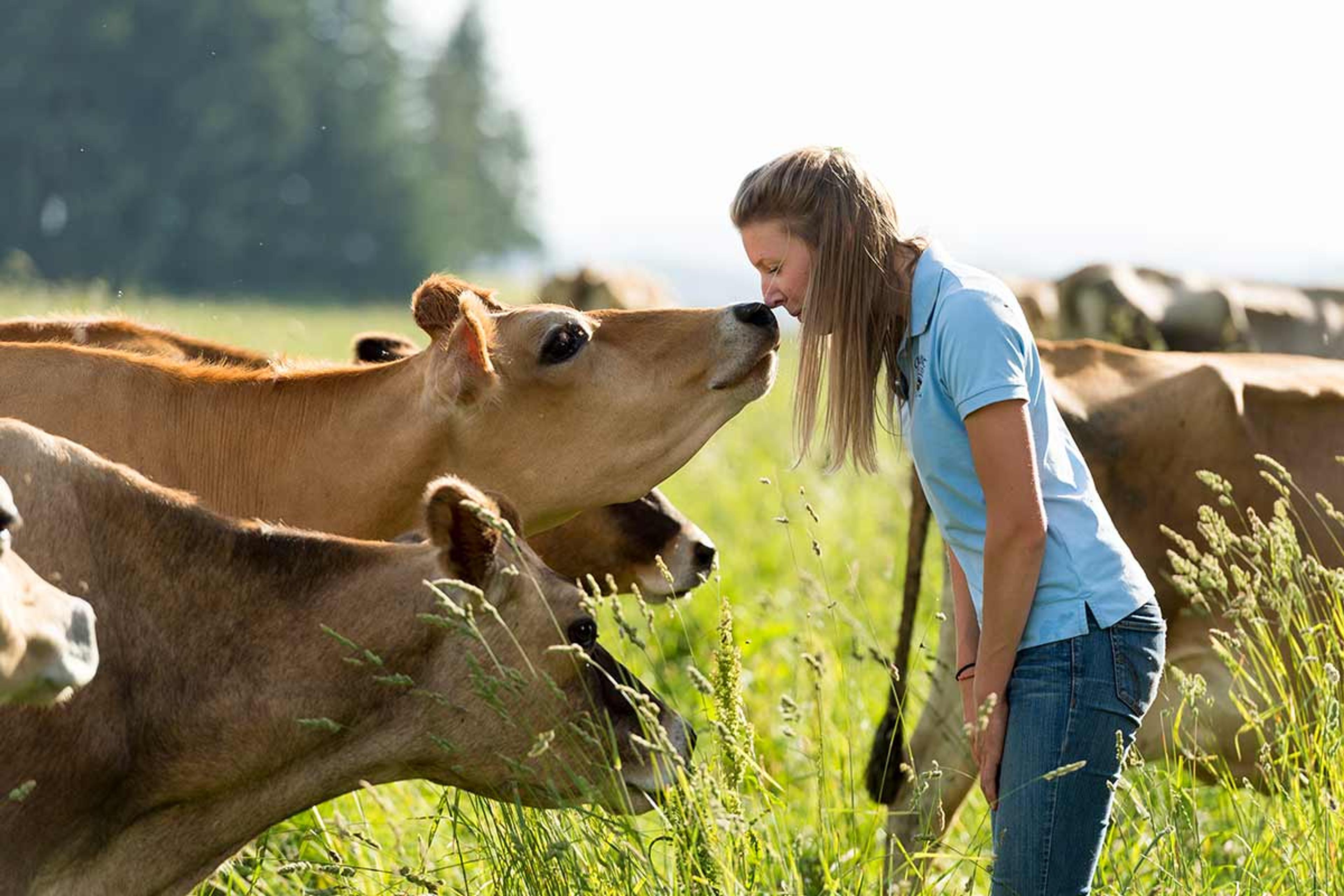 A young woman and a friendly Jersey cow touch noses in a sweet moment outside in tall pasture grasses.