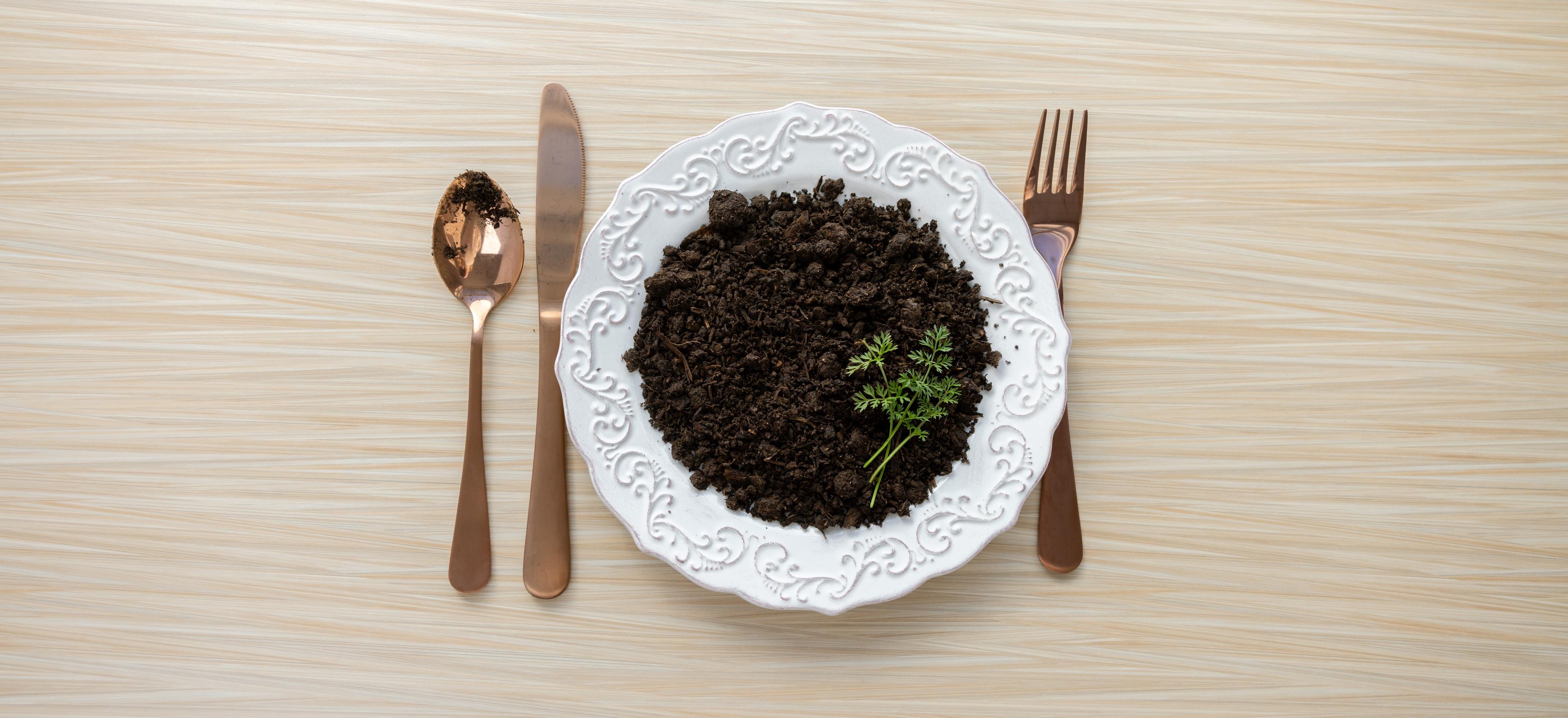 A plate of soil with sprigs of wild carrot tops is shown with silverware.