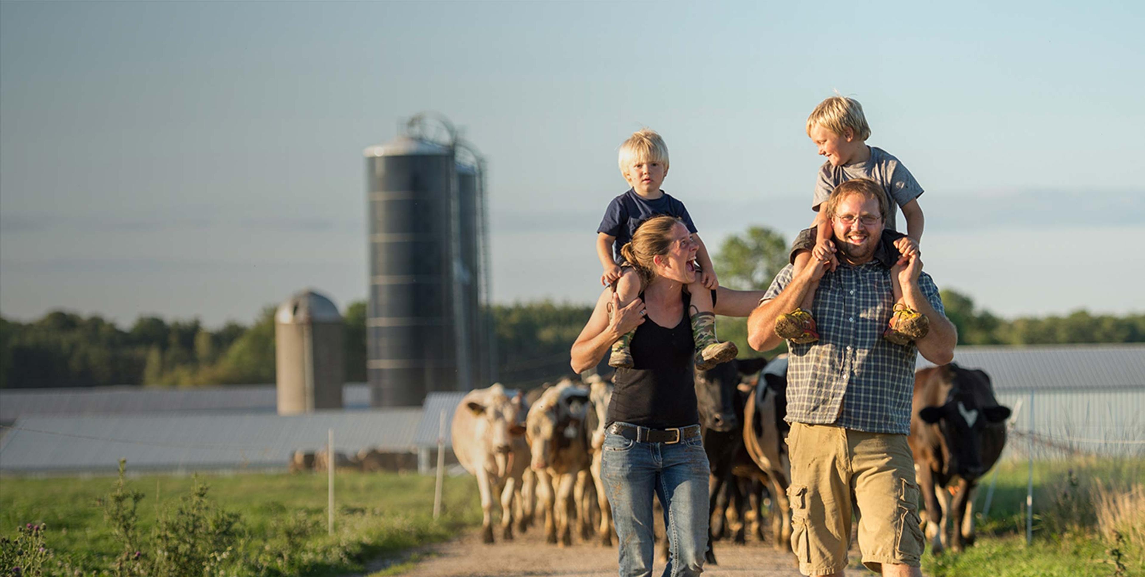 Two Organic Valley farmers carrying their children while leading the cows out to pasture.