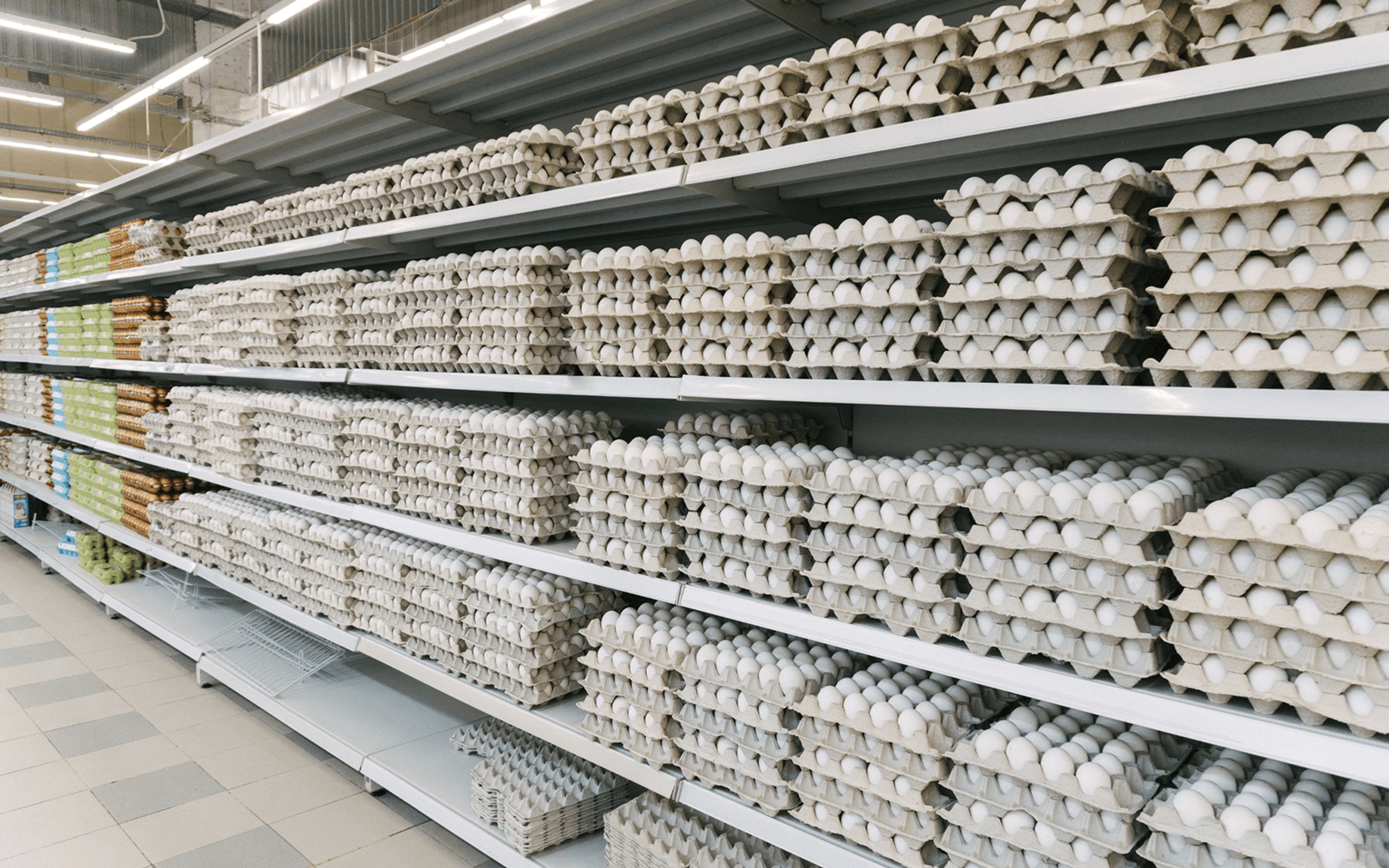 A long row five shelves high of unrefrigerated eggs in an overseas grocery store.