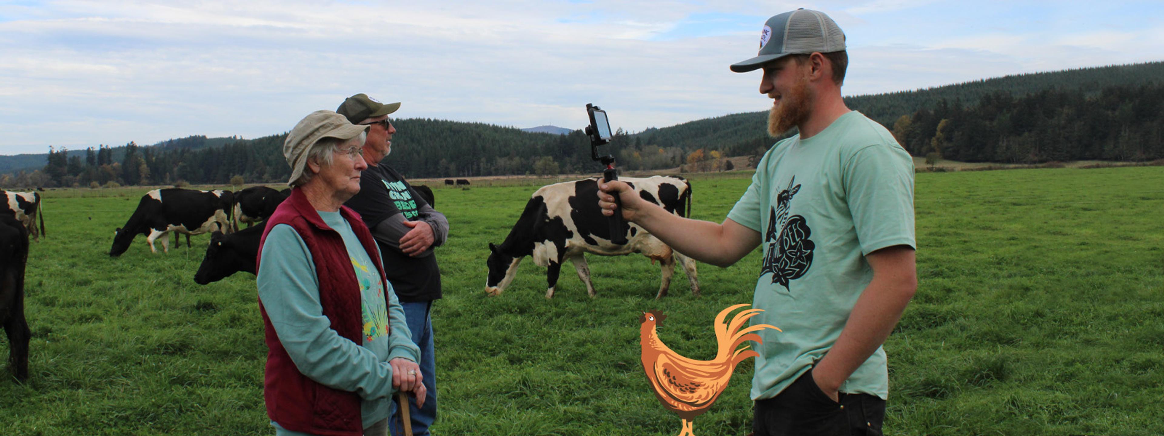 Mary, Maynard and Jack Mallonee on pasture with cows for the 2024 livestream; inserted into the photo is a graphic of a rooster.