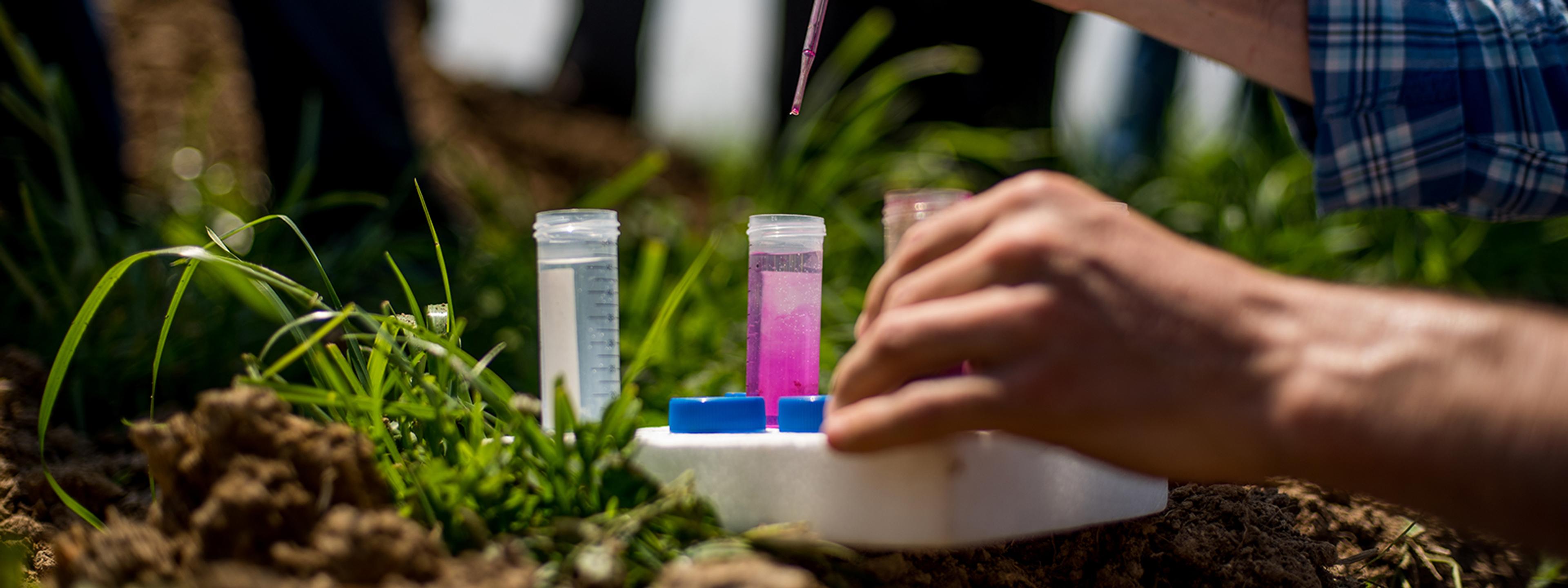 Testing the soil on an Organic Valley family farm