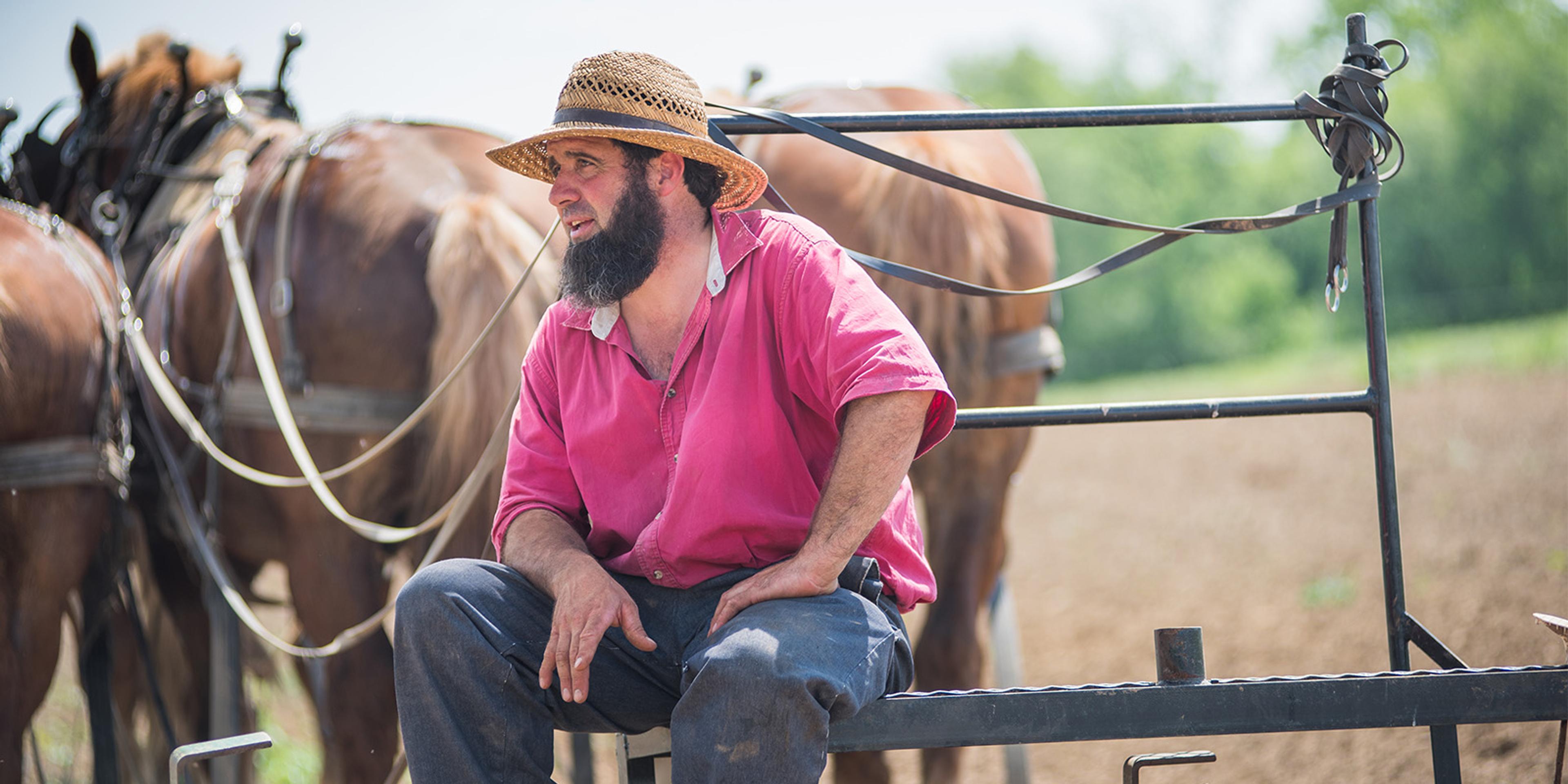 Tim Kline and his horses in the field at his Ohio farm.