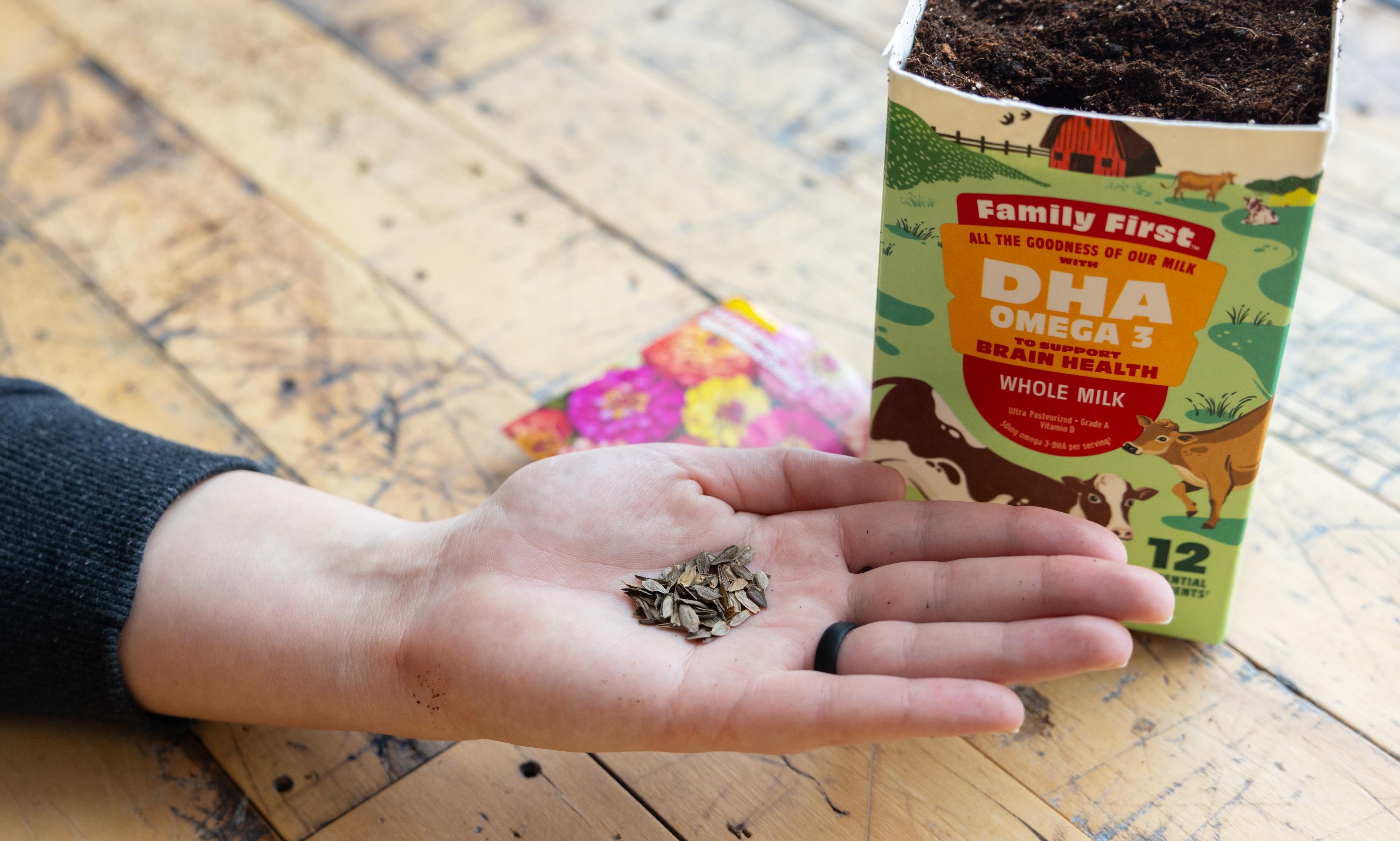 Place seeds into the moistened dirt.