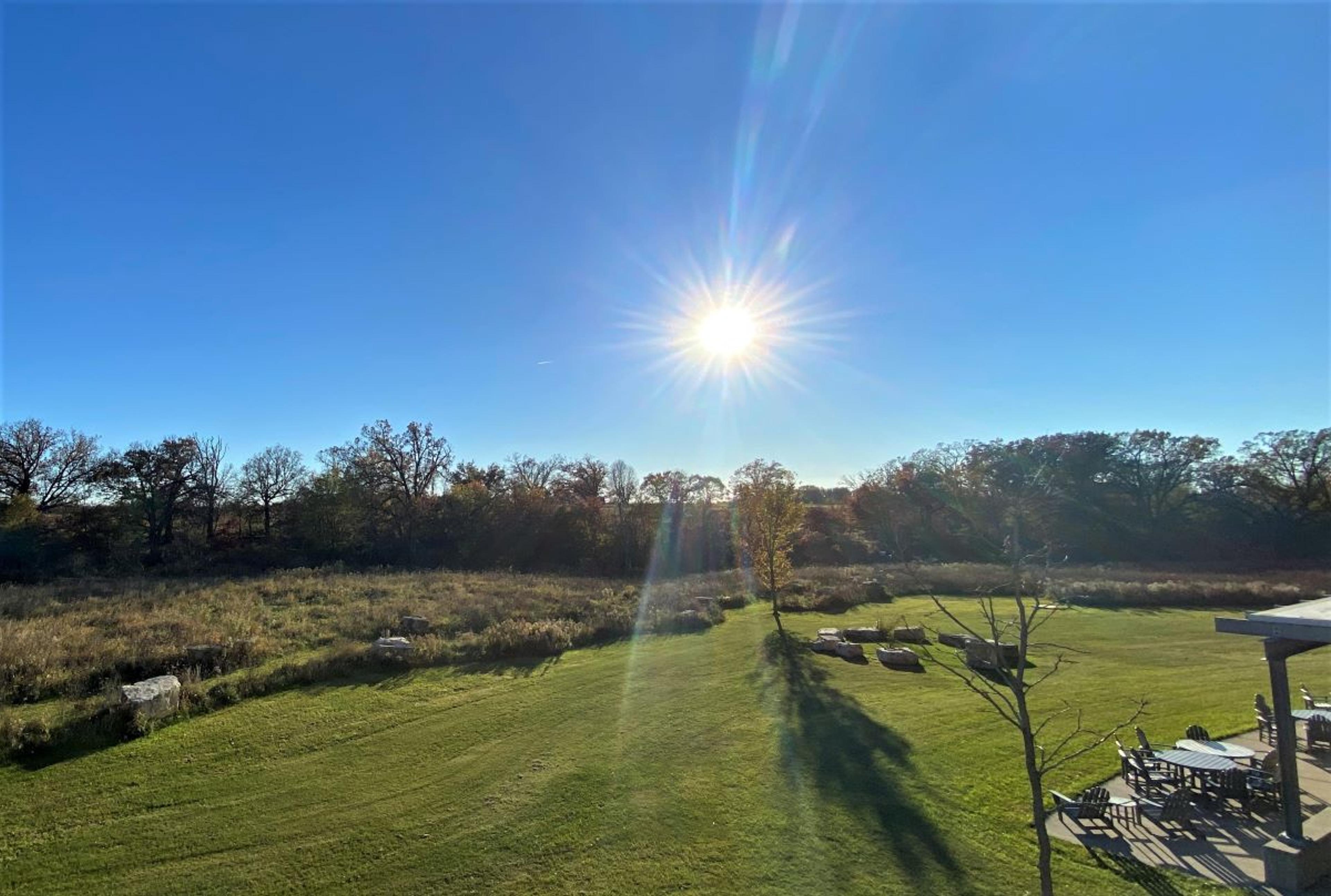 Oak and other trees fill the landscape at Organic Valley’s campus.