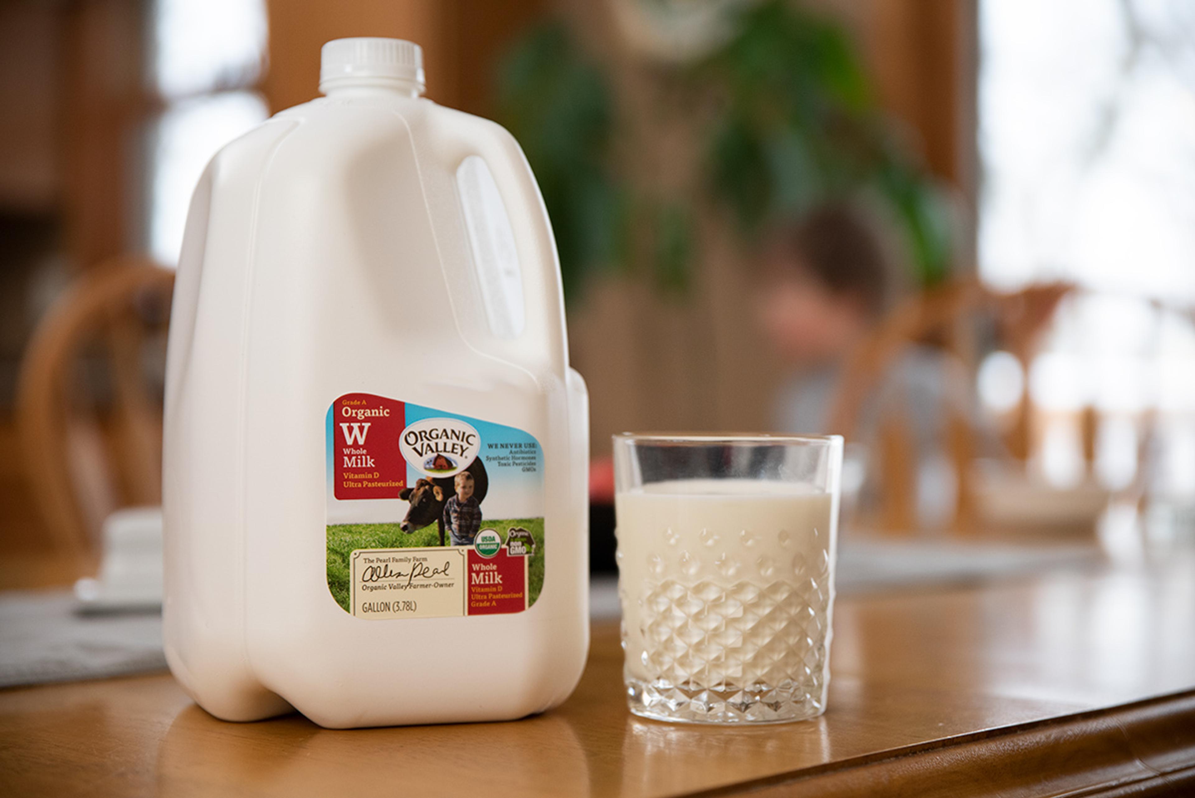 Gallon of Organic Valley whole milk sits on the kitchen table accompanied by a full glass.