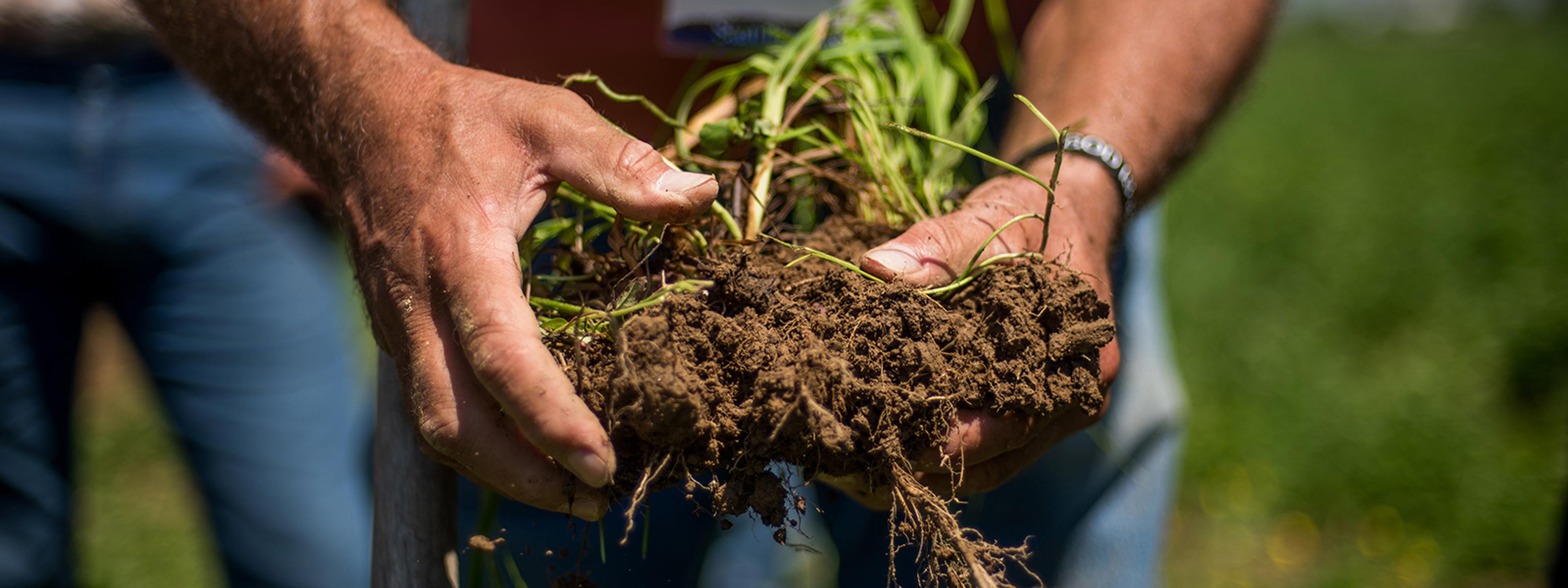 Examining organic soil on the Miller family farm in Ohio