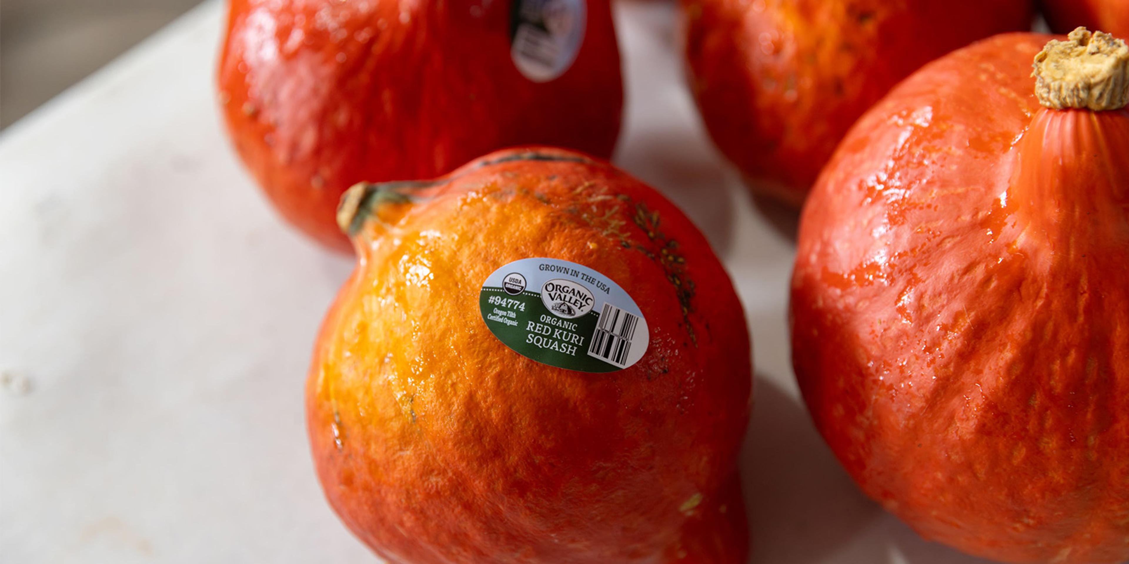 A close-up of Organic Valley red kuri squash.