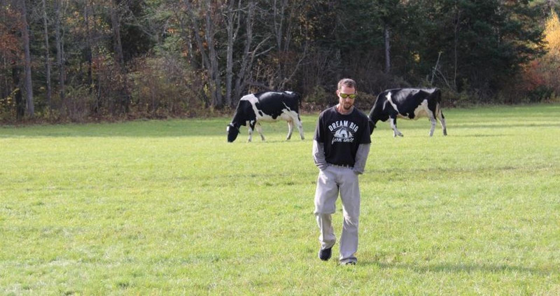Farmer walks across field with cows in background.