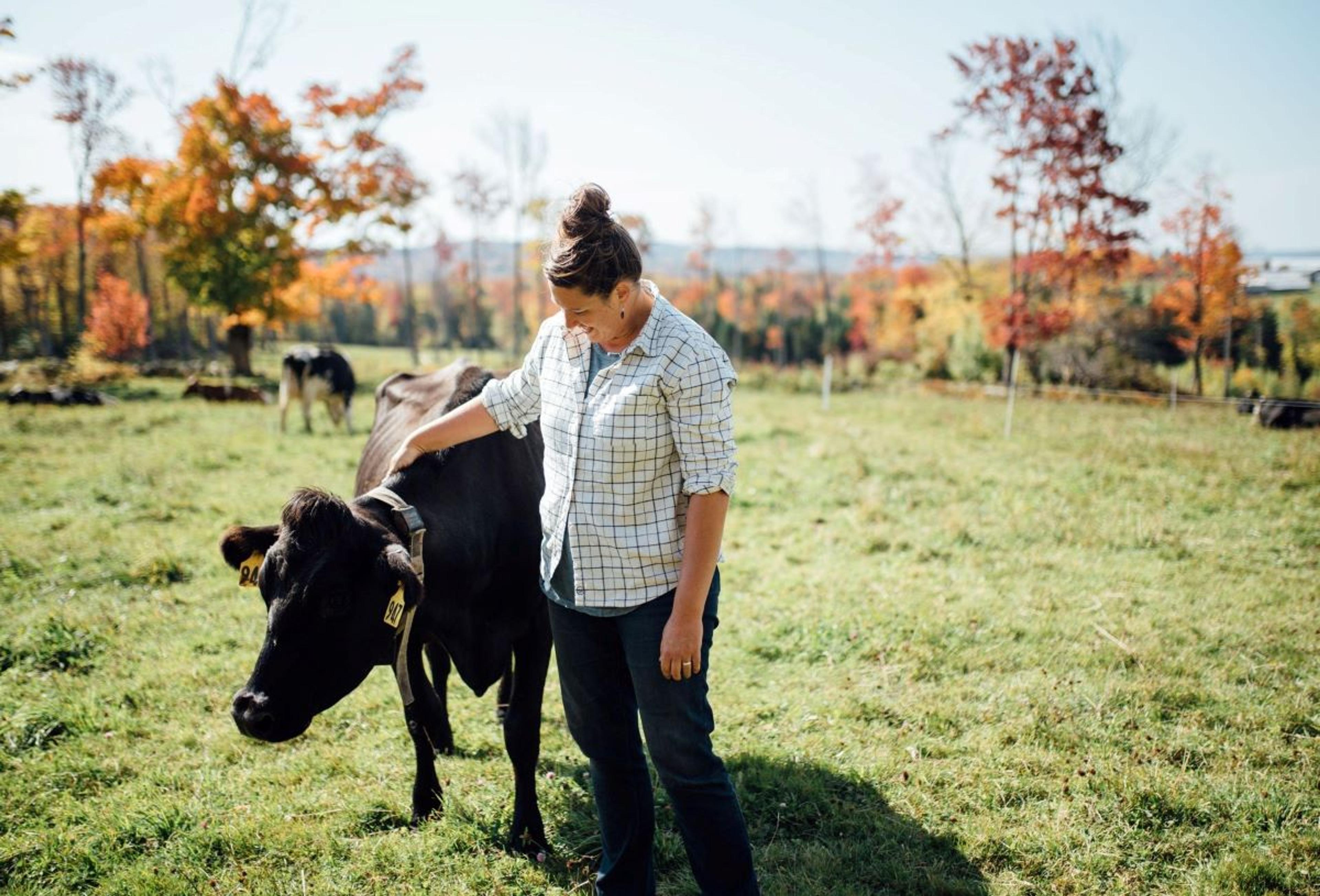 Abbie Corse pets a cow.