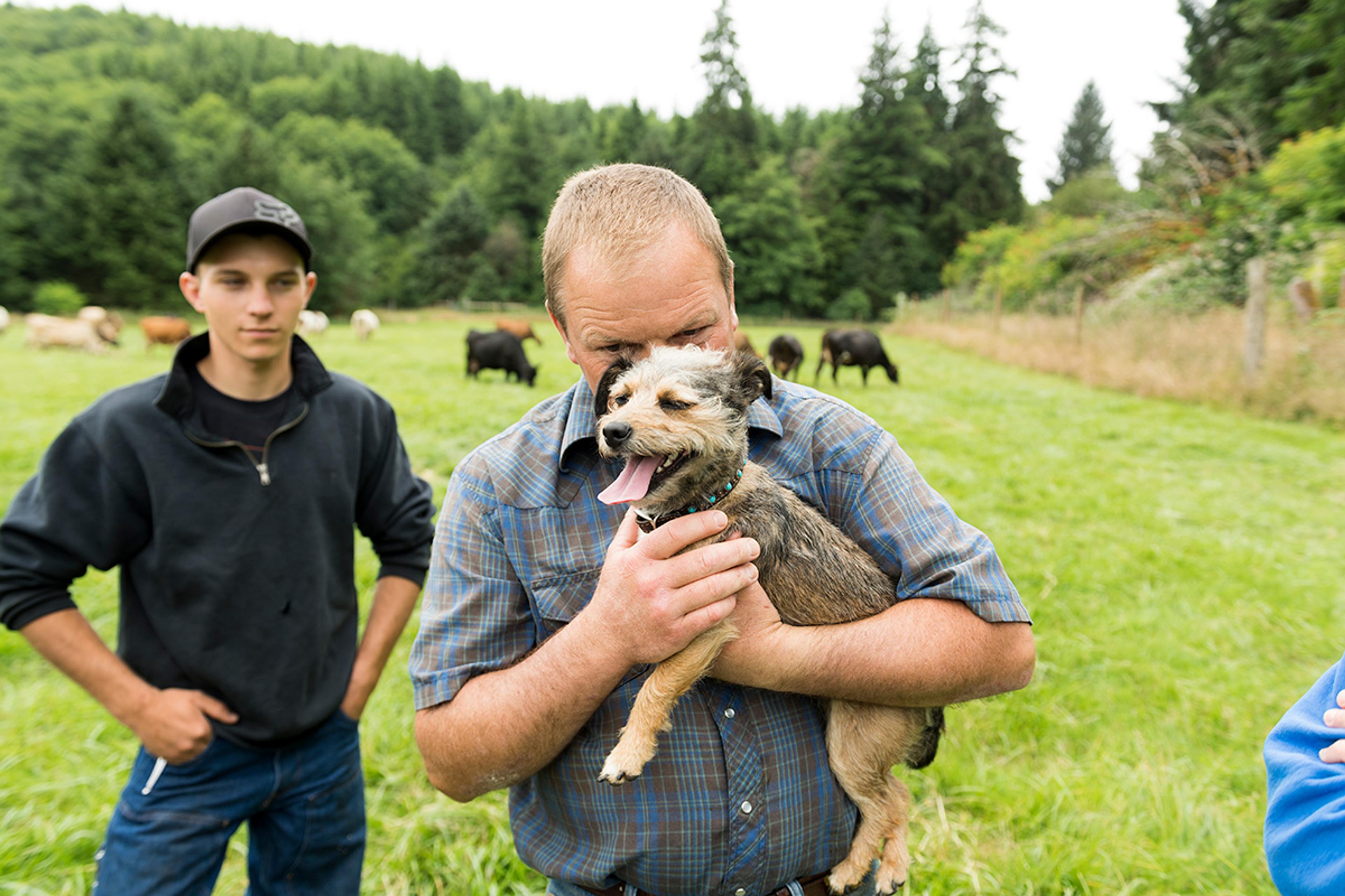 A man standing in a pasture hides his face behind a little terrier dog in his arms.