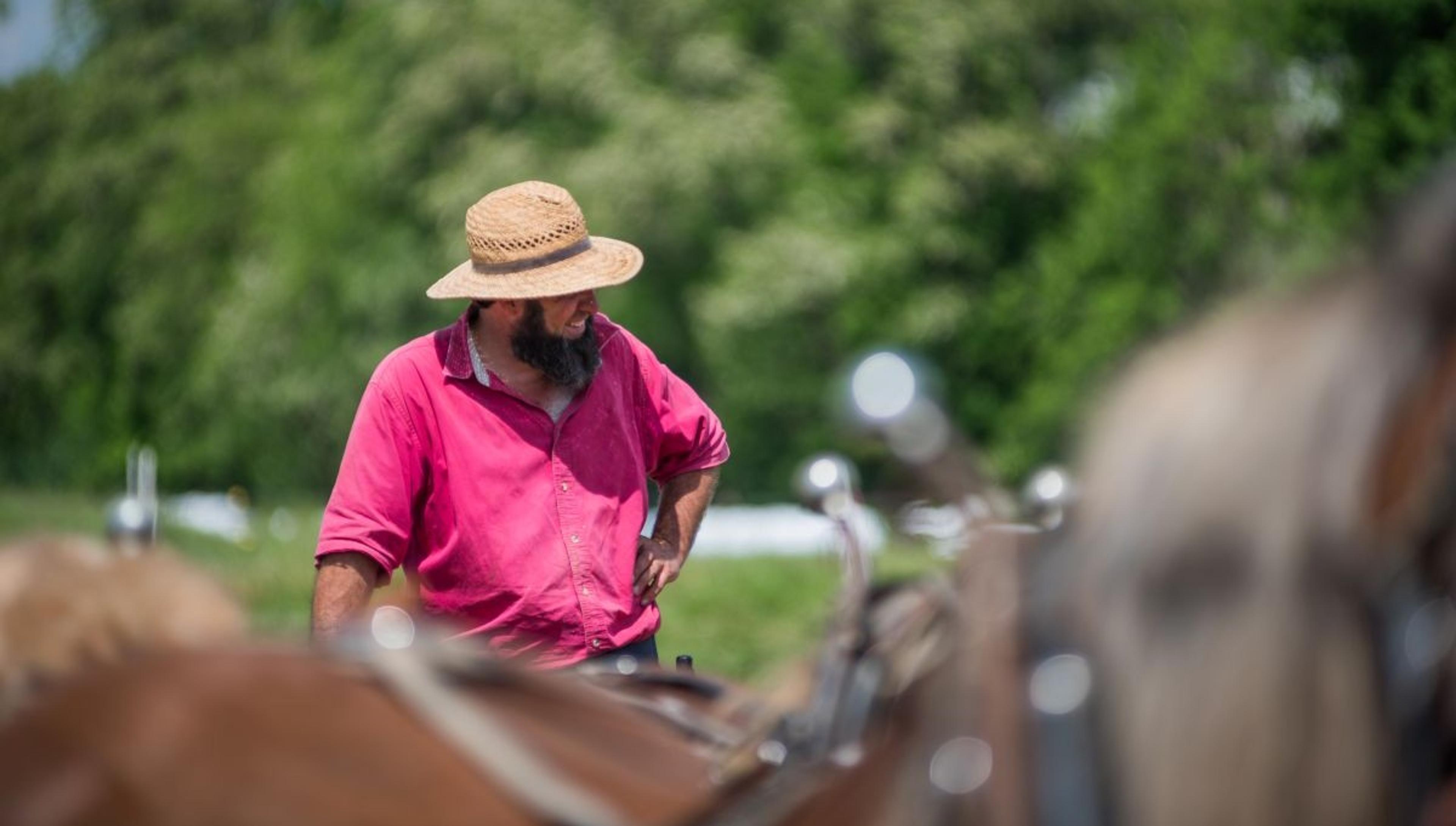 Tim Kline and his horses in the field at his Ohio farm.