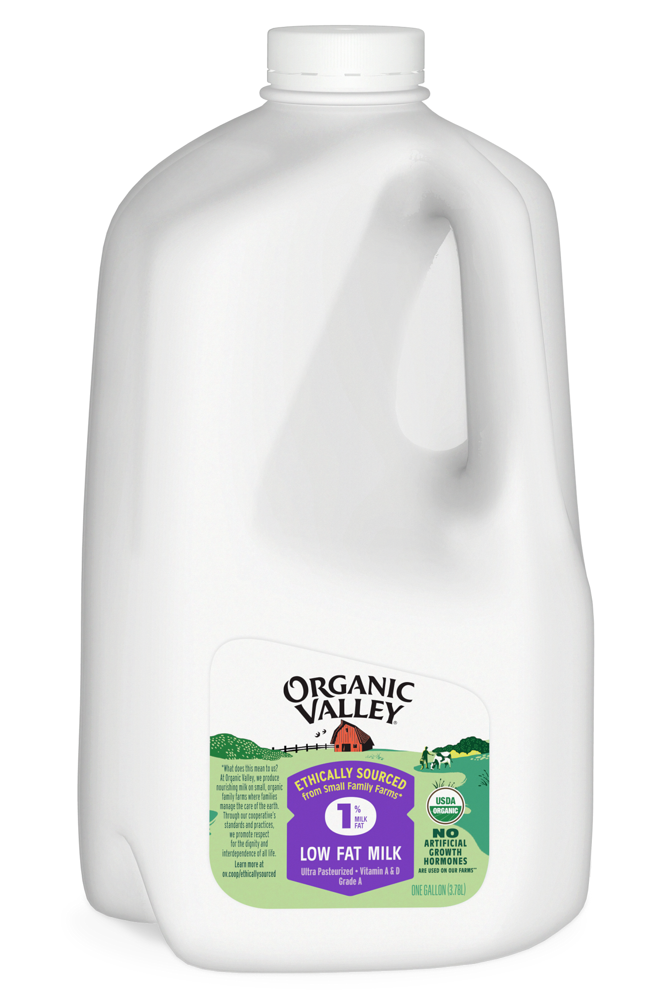 87cbc4c0491bb28f5768a41651d250